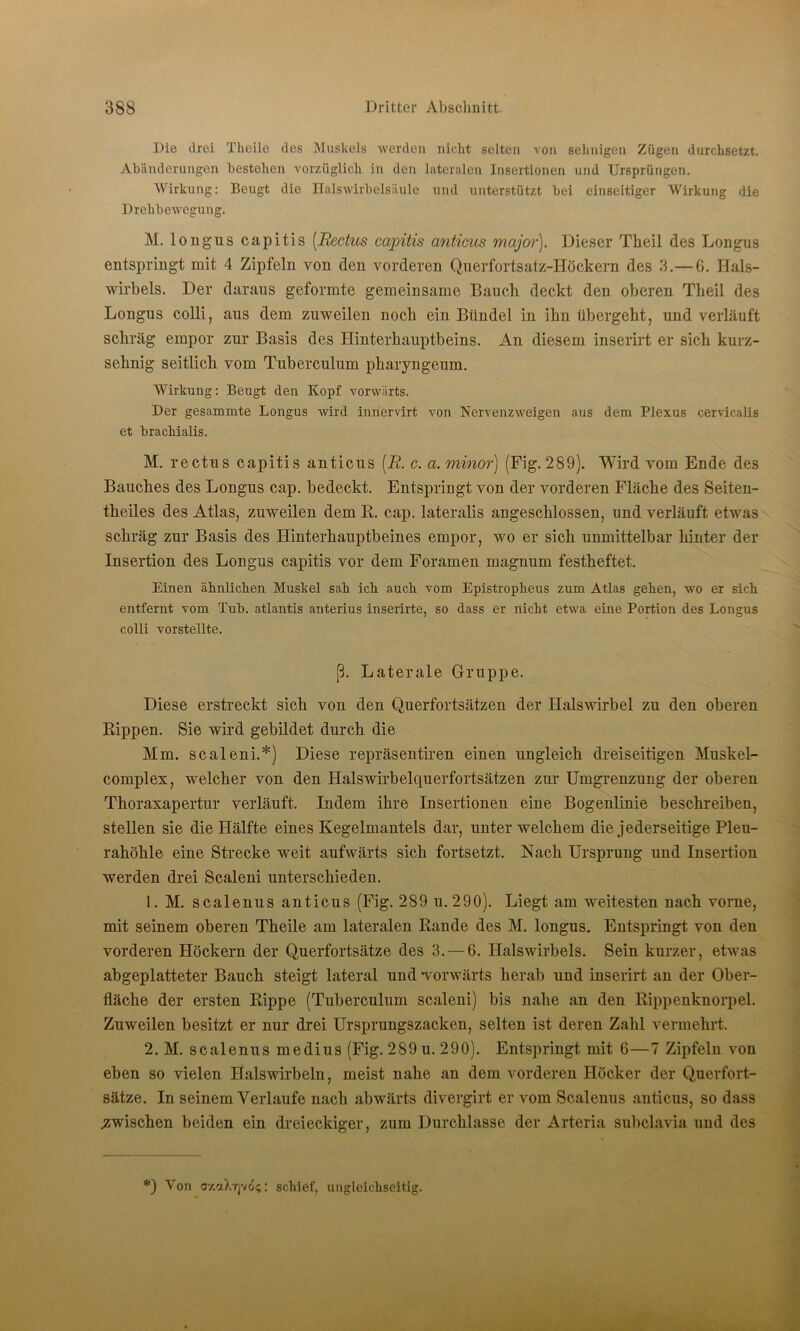 Die drei Theilc des Muskels werden nicht selten von sehnigen Zügen durchsetzt. Abänderungen bestehen vorzüglich in den lateralen Insertionen und Ursprüngen. Wirkung: Beugt die Ualswirbelsäule und unterstützt bei einseitiger Wirkung die Drehbewegung. M. Iongus capitis [Rectus capitis anticus major). Dieser Theil des Longus entspringt mit 4 Zipfeln von den vorderen Querfortsatz-Höckern des 3.— 6. Hals- wirbels. Der daraus geformte gemeinsame Bauch deckt den oberen Theil des Longus colli, aus dem zuweilen noch ein Bündel in ihn übergeht, und verläuft schräg empor zur Basis des Hinterhauptbeins. An diesem inserirt er sich kurz- sehnig seitlich vom Tuberculum pharyngeum. Wirkung: Beugt den Kopf vorwärts. Der gesammte Longus wird innervirt von Nervenzweigen aus dem Plexus cervicalis et brachialis. M. rectus capitis anticus (R. c. a. minor) (Fig. 289). Wird vom Ende des Bauches des Longus cap. bedeckt. Entspringt von der vorderen Fläche des Seiten- theiles des Atlas, zuweilen dem R. cap. lateralis angeschlossen, und verläuft etwas schräg zur Basis des Hinterhauptbeines empor, wo er sich unmittelbar hinter der Insertion des Longus capitis vor dem Foramen magnum festheftet. Einen ähnlichen Muskel sah ich auch vom Epistropheus zum Atlas gehen, wo er sich entfernt vom Tub. atlantis anterius inserirte, so dass er nicht etwa eine Portion des Longus colli vorstellte. ß. Laterale Gruppe. Diese erstreckt sich von den Querfortsätzen der Halswirbel zu den oberen Rippen. Sie wird gebildet durch die Mm. scaleni.*) Diese repräsentiren einen ungleich dreiseitigen Muskel- complex, welcher von den Halswirbelquerfortsätzen zur Umgrenzung der oberen Thoraxapertur verläuft. Indem ihre Insertionen eine Bogenlinie beschreiben, stellen sie die Hälfte eines Kegelmantels dar, unter welchem die jederseitige Pleu- rahöhle eine Strecke weit aufwärts sich fortsetzt. Nach Ursprung und Insertion werden drei Scaleni unterschieden. 1. M. scalenus anticus (Fig. 289 u. 290). Liegt am weitesten nach vorne, mit seinem oberen Theile am lateralen Rande des M. longus. Entspringt von den vorderen Höckern der Querfortsätze des 3.—6. Halswirbels. Sein kurzer, etwas abgeplatteter Bauch steigt lateral und “vorwärts herab und inserirt an der Ober- fläche der ersten Rippe (Tuberculum scaleni) bis nahe an den Rippenknorpel. Zuweilen besitzt er nur drei Ursprungszacken, selten ist deren Zahl vermehrt. 2. M. scalenus medius (Fig. 289 u. 290). Entspringt mit 6—7 Zipfeln von eben so vielen Halswirbeln, meist nahe an dem vorderen Höcker der Querfort- sätze. In seinem Verlaufe nach abwärts divergirt er vom Scalenus anticus, so dass .zwischen beiden ein dreieckiger, zum Durchlässe der Arteria subclavia und des *) Von cy.aX'fjvo;: schief, ungleichseitig.