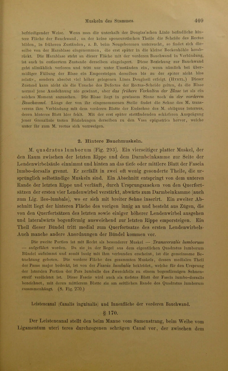 befriedigender Weise. Wenn man die unterhalb der Douglas’scben Linie befindliche hin- tere Fläche der Rauchwand, an der keine aponeurotischen Theile die Scheide des Rectus bilden, in früheren Zuständen, z. B. beim Neugeborenen untersucht, so findet sich die- selbe von der Harnblase eingenommen, die erst später in die kleine Beckenhöhle herab- rückt. Die Harnblase steht an dieser Fläche mit der vorderen Bauclnvand in Verbindung, ist auch in entleertem Zustande derselben eingelagert. Diese Beziehung zur Bauchwand geht allmählich verloren und tritt nur unter Umständen ein, wenn nämlich bei über- mäßiger Füllung der Blase ein Emporsteigen derselben bis zu der später nicht blos relativ, sondern absolut viel höher gelegenen Linea Douglasii erfolgt. (Hyrtl.) Dieser Zustand kann nicht als die Ursache des Defectes der Rectus-Scheide gelten, da die Blase normal jene Ausdehnung nie gewinnt, aber das frühere Verhalten der Blase ist als ein solches Moment anzusehen. Die Blase liegt in gewissem Sinne noch in der vorderen Bauchwand. Längs der von ihr eingenommenen Stelle findet die Sehne des M. trans- versus ihre Verbindung mit dem vorderen Blatte der Endsehne des M. obliquus internus, deren hinteres Blatt hier fehlt. Mit der erst später stattfindenden schärferen Ausprägung jener Grenzlinie treten Beziehungen derselben zu den Vasa epigastrica hervor, welche unter ihr zum M. rectus sich verzweigen. 2. Hintere Bauchmuskeln. M. quadratus lumborum (Fig. 293). Ein vierseitiger platter Muskel, der den Raum zwischen der letzten Rippe und dem Darmbeinkamme zur Seite der Lendenwirbelsäule einnimmt und hinten an das tiefe oder mittlere Blatt der Fascia lumbo-dorsalis grenzt. Er zerfällt in zwei oft wenig gesonderte Theile, die ur- sprünglich selbständige Muskeln sind. Ein Abschnitt entspringt von dem unteren Rande der letzten Rippe und verläuft, durch Ursprungszacken von den Querfort- sätzen der ersten vier Lendenwirbel verstärkt, abwärts zum Darmbeinkamme (auch zum Lig. ileo-lumbale), wo er sich mit breiter Sehne inserirt. Ein zweiter Ab- schnitt liegt der hinteren Fläche des vorigen innig an und besteht aus Zügen, die von den Querfortsätzen des letzten sowie einiger höherer Lendenwirbel ausgehen und lateralwärts bogenförmig ausweichend zur letzten Rippe emporsteigen. Ein Theil dieser Bündel tritt medial zum Querfortsatze des ersten Lendenwirbels- Auch manche andere Anordnungen der Bündel kommen vor. Die zweite Portion ist mit Recht als besonderer Muskel — Transversalis lumboruni — aufgeführt worden. Da sie in der Regel aus dem eigentlichen Quadratus lumborum Bündel aufnimmt und somit innig mit ihm verbunden erscheint, ist die gemeinsame Be- trachtung geboten. Die vordere Fläche des gesammten Muskels, dessen medialen Theil der Psoas inajor bedeckt, ist von der Fascia lumhalis bekleidet, welche für den Ursprung der lateralen Portion der Pars lumbalis des Zwerchfells zu einem bogenförmigen Sehnen- streif verdichtet ist. Diese Fascie wird auch als tiefstes Blatt der Fascia lumbo-dorsalis bezeichnet, mit deren mittlerem Blatte sie am seitlichen Rande des Quadratus lumborum zusammenhängt. (S. Fig. 270.) Leistencanal (Canalis inguinalis) und Innenfläche der vorderen Bauclnvand. § 170. Der Leistencanal stellt den beim Manne vom Samenstrang, beim Weibe vom Ligamentum uteri teres durchzogenen schrägen Canal vor, der zwischen dem
