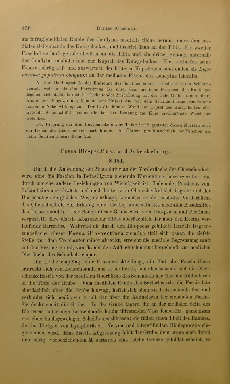 am infraglenoidalen Räude des Condylus medialis tibiae herum, unter dem me- dialen Seitenbande des Kniegelenkes, und inserirt dann an der Tibia. Ein zweiter Faseikel verläuft gerade abwärts an die Tibia und ein dritter gelangt unterhalb des Condylus medialis fern, zur Kapsel des Kniegelenkes. Hier verlaufen seine Fasern schräg auf- und auswärts in der hinteren Kapselwand und enden als Liga- mentum popliteum obliquum an der medialen Fläche des Condylus lateralis. An der Theilungsstelle der Endselme des Semimembranosus findet sich ein Sclileim- beutel, welcher als eine Fortsetzung des unter dem medialen Gastrocnemius-Kopfe ge- legenen sich, darstellt und bei bedeutender Ausdehnung mit der Gelenkhöhle communicirt. Außer der Beugewirkung kommt dem Muskel die mit dem Semitendinosus gemeinsame rotirende Nebenwirkung zu. Der in die hintere Wand der Kapsel des Kniegelenkes ein- tretende Sehnenzipfel spannt die bei der Beugung im Knie erschlaffende Wand des Gelenkes. Der Ursprung der drei Beugemuskeln vom Tuber ischii gestattet diesen Muskeln auch ein Heben des Oberschenkels nach hinten. Im Übrigen gilt hinsichtlich der Function das beim Semitendinosus Bemerkte. Fossa ilio-pectinea und Schenkelringe. § 181. Durch die Anordnung der Muskulatur an der Vorderfläche des Oberschenkels wird eine die Fascien in Betheiligung ziehende Einrichtung hervorgerufen, die durch manche andere Beziehungen von Wichtigkeit ist. Indem der Pectineus vom Schambeine aus abwärts und nach hinten zum Oberschenkel sich begiebt und der Ilio-psoas einen gleichen Weg einschlägt, kommt es an der medialen Vorderfläche des Oberschenkels zur Bildung einer Grube, unterhalb des medialen Abschnittes des Leistenbandes. Der Boden dieser Grube wird vom Ilio-psoas und Pectineus vorgestellt, ihre distale Abgrenzung bildet oberflächlich der über den Rectus ver- laufende Sartorius. Während die durch den Ilio-psoas gebildete laterale Begren- zungsfläche dieser Fossa ilio-pectinea ziemlich steil sich gegen die tiefste Stelle vor dem Trochanter minor absenkt, streicht die mediale Begrenzung sanft auf den Pectineus und, von da auf den Adductor longus übergehend, zur medialen Oberfläche des Schenkels empor. Die Grube empfängt eine Fascienauskleidung; ein Blatt der Fascia iliaca erstreckt sich vom Leistenbande aus in sie herab, und ebenso senkt sich die Ober- schenkelfascie von der medialen Oberfläche des Schenkels her über die Adductoren in die Tiefe der Grube. Vom medialen Rande des Sartorius tritt die Fascia lata oberflächlich über die Grube hinweg, heftet sich oben am Leistenbande fest und verbindet sich medianwärts mit .der über die Adductoren her ziehenden Fascie. Sie deckt somit die Grube. In der Grube lagern die an der medialen Seite des Ilio-psoas unter dem Leistenbande hindurchtretenden Vasa femoralia, gemeinsam von einer bindegewebigen Scheide umschlossen; sie füllen einen Theil des Raumes, der im Übrigen von Lymphdrüsen, Nerven und interstitiellem Bindegewebe ein- genommen wird. Eine distale Abgrenzung fehlt der Grube, denn wenn auch durch den schäg vorbeiziehenden M. sartorius eine solche Grenze gebildet scheint, so