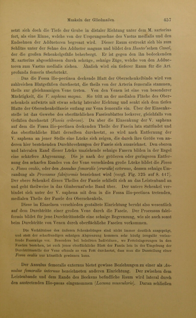 setzt sich docli die Tiefe der Grube in distaler Richtung unter dem M. Sartorius fort, als eine Rinne, welche von der Ursprungssehne des Vastus medialis und den Endsehnen der Adductoren begrenzt wird. Dieser Raum erstreckt sich bis zum Schlitze unter der Sehne des Adductor magnus und bildet den Äwter’schen Canal, der die großen Schenkelgefäße beherbergt. Er ist gegen den ihn bedeckenden M. Sartorius abgeschlossen durch schräge, sehnige Züge, welche von den Adduc- toren zum Vastus medialis ziehen. Ähnlich wird ein tieferer Raum für die Art. profunda femoris überbrückt. Das die Fossa ilio-pectinea deckende Blatt der Oberschenkelbinde wird von zahlreichen Blutgefäßen durchsetzt, die theils von der Arteria femoralis stammen, theils zur gleichnamigen Vene treten. Von den Venen ist eine von besonderer Mächtigkeit, die V. saphena magna. Sie tritt an der medialen Fläche des Ober- schenkels aufwärts mit etwas schräg lateraler Richtung und senkt sich dem tiefen Blatte der Oberschenkelfascie entlang zur Vena femoralis ein. Über der Einsenke- stelle ist das Gewebe des oberflächlichen Fascienblattes lockerer, gleichfalls von Gefäßen durchsetzt (Fascia cribrosa). Da aber die Einsenkung der V. saphena auf dem die Fossa ilio-pectinea deckenden Theile der Fascia lata stattfindet und das oberflächliche Blatt derselben durchsetzt, so wird nach Entfernung der V. saphena an jener Stelle eine Lücke sich zeigen, die durch ihre Größe von an- deren hier bestehenden Durchbrechungen der Fascie sich auszeichnet. Den oberen und lateralen Rand dieser Lücke umziehende sehnige Fasern bilden in der Regel eine schärfere Abgrenzung. Die je nach der größeren oder geringeren Entfer- nung des scharfen Randes von der Vene verschieden große Lücke bildet die Fovea s. Fossa ovaliSj oder den Annulus femoralis [cruralis) externus, dessen sehnige Um- randung als Processus falciformis bezeichnet wird (vergl. Fig. 325 auf S. 447). Der obere Schenkel dieses Theiles der Fascie schließt sich an das Leistenband an und geht theilweise in das Gimbernat’sche Band über. Der untere Schenkel ver- bindet sich unter der V. saphena mit dem in die Fossa ilio-pectinea tretenden, medialen Theile der Fascie des Oberschenkels. Diese im Einzelnen verschieden gestaltete Einrichtung beruht also wesentlich auf dem Durchtritte einer großen Vene durch die Fascie. Der Processus falci- formis bildet für jene Durchtrittsstelle eine sehnige Begrenzung, wie sie auch sonst beim Durchtritte von Venen durch oberflächliche Fascien Vorkommen. Die Verhältnisse des äußeren Schenkelringes sind nicht immer deutlich ausgeprägt, und statt der scharfrandigen sehnigen Abgrenzung kommen sehr häufig irregulär verlau- fende Faserzüge vor. Besonders hei beleihten Individuen, wo Fetteinlagerungen in den Fascien bestehen, ist auch jenes oberflächliche Blatt der Fascia lata in der Umgebung der Durchtrittsstelle der Vene oftmals so von Fett durchsetzt, dass man die Darstellung einer Fovea ovalis nur künstlich gewinnen kann. Der Annulus femoralis externus bietet gewisse Beziehungen zu einer als An- nulus femoralis internus bezeiclmeten anderen Einrichtung. Der zwischen dem Leistenbande und dem Rande des Beckens befindliche Raum wird lateral durch den austretenden Ilio-psoas eingenommen [Lacuna muscularis). Daran schließen