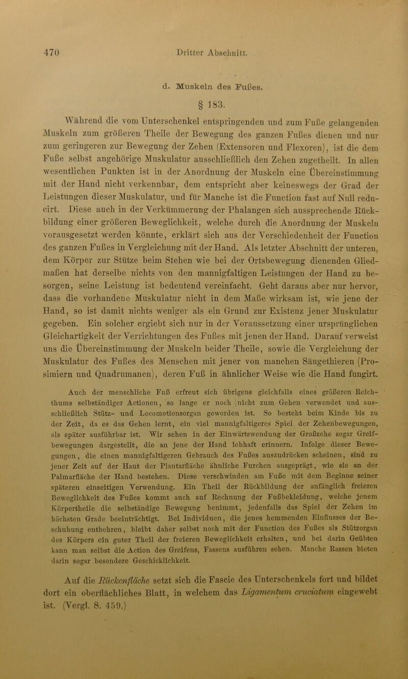 d. Muskeln des Fußes. § 183. Während die vom Unterschenkel entspringenden und zum Fuße gelangenden Muskeln zum größeren Theile der Bewegung des ganzen Fußes dienen und nur zum geringeren zur Bewegung der Zehen (Extensoren und Flexoren), ist die dem Fuße selbst ungehörige Muskulatur ausschließlich den Zehen zugetheilt. In allen wesentlichen Punkten ist in der Anordnung der Muskeln eine Übereinstimmung mit der Hand nicht verkennbar, dem entspricht aber keineswegs der Grad der Leistungen dieser Muskulatur, und für Manche ist die Function fast auf Null redu- cirt. Diese auch in der Verkümmerung der Phalangen sich aussprechende Rück- bildung einer größeren Beweglichkeit, welche durch die Anordnung der Muskeln vorausgesetzt werden könnte, erklärt sich aus der Verschiedenheit der Function des ganzen Fußes in Vergleichung mit der Hand. Als letzter Abschnitt der unteren, dem Körper zur Stütze beim Stehen wie bei der Ortsbewegung dienenden Glied- maßen hat derselbe nichts von den mannigfaltigen Leistungen der Hand zu be- sorgen, seine Leistung ist bedeutend vereinfacht. Geht daraus aber nur hervor, dass die vorhandene Muskulatur nicht in dem Maße wirksam ist, wie jene der Hand, so ist damit nichts weniger als ein Grund zur Existenz jener Muskulatur gegeben. Ein solcher ergiebt sich nur in der Voraussetzung einer ursprünglichen Gleichartigkeit der Verrichtungen des Fußes mit jenen der Hand. Darauf verweist uns die Übereinstimmung der Muskeln beider Theile, sowie die Vergleichung der Muskulatur des Fußes des Menschen mit jener von manchen Säugethieren (Pro- simiern und Qnadrumanen), deren Fuß in ähnlicher Weise wie die Hand fungirt. Auch, der menschliche Fuß erfreut sich übrigens gleichfalls eines größeren Reich- thums selbständiger Actionen, so lange er noch [nicht zum Gehen verwendet und aus- schließlich Stütz- und Locomotionsorgan geworden ist. So besteht beim Kinde bis zu der Zeit, da es das Gehen lernt, ein viel mannigfaltigeres Spiel der Zehenbewegungen, als später ausführbar ist. Wir sehen in der Einwärtswendung der Großzehe sogar Greif- bewegungen dargestellt, die an jene der Hand lebhaft erinnern. Infolge dieser Bewe- gungen, die einen mannigfaltigeren Gebrauch des Fußes auszudrücken scheinen, sind zu jener Zeit auf der Haut der Plantarfläche ähnliche Furchen ausgeprägt, wie sie an der Palmarfläche der Hand bestehen. Diese verschwinden am Fuße mit dem Beginne seiner späteren einseitigen Verwendung. Ein Theil der Rückbildung der anfänglich freieren Beweglichkeit des Fußes kommt auch auf Rechnung der Fußbekleidung, welche jenem Körpertheile die selbständige Bewegung benimmt, jedenfalls das Spiel der Zehen im höchsten Grade beeinträchtigt. Bei Individuen, die jenes hemmenden Einflusses der Be- schuhung entbehren, bleibt daher selbst noch mit der Function des lußes als Stützorgan des Körpers ein guter Theil der freieren Beweglichkeit erhalten, und bei darin Geübten kann man selbst die Action des Greifens, Fassens ausführen sehen. Manche Rassen bieten darin sogar besondere Geschicklichkeit. Auf die Rückenfläche setzt sich die Fascie des Unterschenkels fort und bildet dort ein oberflächliches Blatt, in welchem das Ligamentum enunatum eingewebt ist. (Vergl. S. 459.)