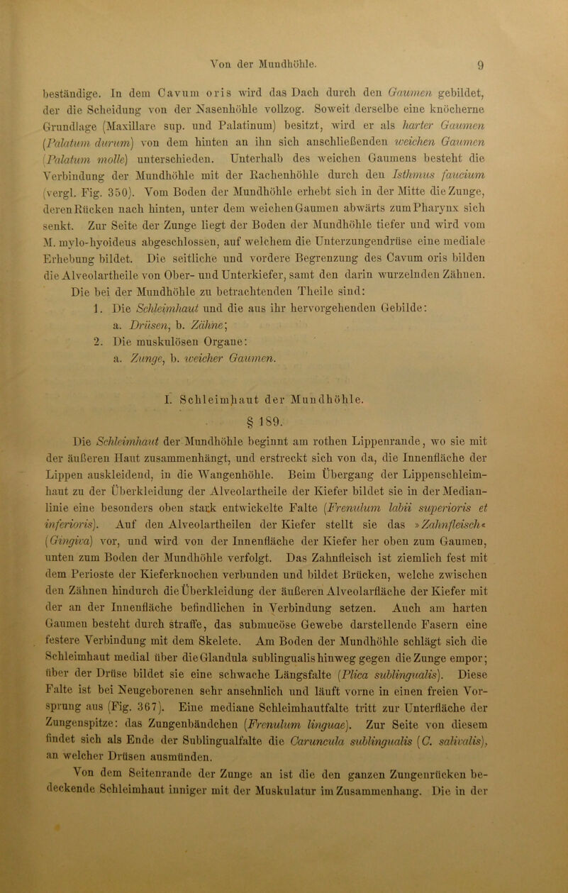 beständige. In dem Cavnin oris wird das Dach durch den Gaumen gebildet, der die Scheidung von der Nasenhöhle vollzog. Soweit derselbe eine knöcherne Grundlage (Maxillare sup. nnd Palatinum) besitzt, wird er als harter Gaumen {Palatum durum) von dem hinten an ihn sich anschließenden weichen Gaumen (Palatum molle) unterschieden. Unterhalb des weichen Gaumens besteht die Verbindung der Mundhöhle mit der Rachenhöhle durch den Isthmus faucium (vergl. Fig. 350). Vom Boden der Mundhöhle erhebt sich in der Mitte die Zunge, deren Rücken nach hinten, unter dem weichen Gaumen abwärts zum Pharynx sich senkt. Zur Seite der Zunge liegt der Boden der Mundhöhle tiefer und wird vom M. mylO'hyoideus abgeschlossen, auf welchem die ünterzungendrüse eine mediale Erhebung bildet. Die seitliche und vordere Begrenzung des Cavum oris bilden die Alveolartheile von Ober-und Unterkiefer, samt den darin wurzelnden Zähnen. Die bei der Mundhöhle zu betrachtenden Theile sind; 1. Die Schleimhaut und die aus ihr hervorgehenden Gebilde: a. Drüsen^ b. Zähhe\ 2. Die muskulösen Organe: a. Zunge^ b. lueicher Gaumen. I. Schleimhaut der Mundhöhle. §189. Die Schleimhaut der Mundhöhle beginnt am rothen Lippenrande, wo sie mit der äußeren Haut zusammenhängt, und erstreckt sich von da, die Innenfläche der Lippen auskleidend, in die Wangenhöhle. Beim Übergang der Lippenschleim- haut zu der Überkleidung der Alveolartheile der Kiefer bildet sie in der Median- linie eine besonders oben stark entwickelte Falte (Frenidum labii superioris et infeHoris). Auf den Alveolartheilen der Kiefer stellt sie das »Zahnfleisch«. [Gingiva) vor, und wird von der Innenfläche der Kiefer her oben zum Gaumen, unten zum Boden der Mundhöhle verfolgt. Das Zahnfleisch ist ziemlich fest mit dem Perioste der Kieferknochen verbunden und bildet Brücken, welche zwischen den Zähnen hindurch die Überkleidung der äußeren Alveolarfläche der Kiefer mit der an der Innenfläche befindlichen in Verbindung setzen. Auch am harten Gaumen besteht durch straffe, das submucöse Gewebe darstellende Fasern eine festere Verbindung mit dem Skelete. Am Boden der Mundhöhle schlägt sich die Schleimhaut medial über die Glandula sublingualis hinweg gegen die Zunge empor; über der Drüse bildet sie eine schwache Längsfalte [Plica suhlingualis). Diese Falte ist bei Neugeborenen sehr ansehnlich und läuft vorne in einen freien Vor- sprung aus (Fig. 367). Eine mediane Schleimhautfalte tritt zur Unterfläche der Zungenspitze: das Zungenbändchen [F7'cnulum linguae). Zur Seite von diesem findet sich als Ende der Sublingualfalte die Garuncula suhlingualis [G. salivalis), an welcher Drüsen ausmünden. Von dem Seitenrande der Zunge an ist die den ganzen Zungenrücken be- deckende Schleimhaut inniger mit der Muskulatur im Zusammenhang. Die in der