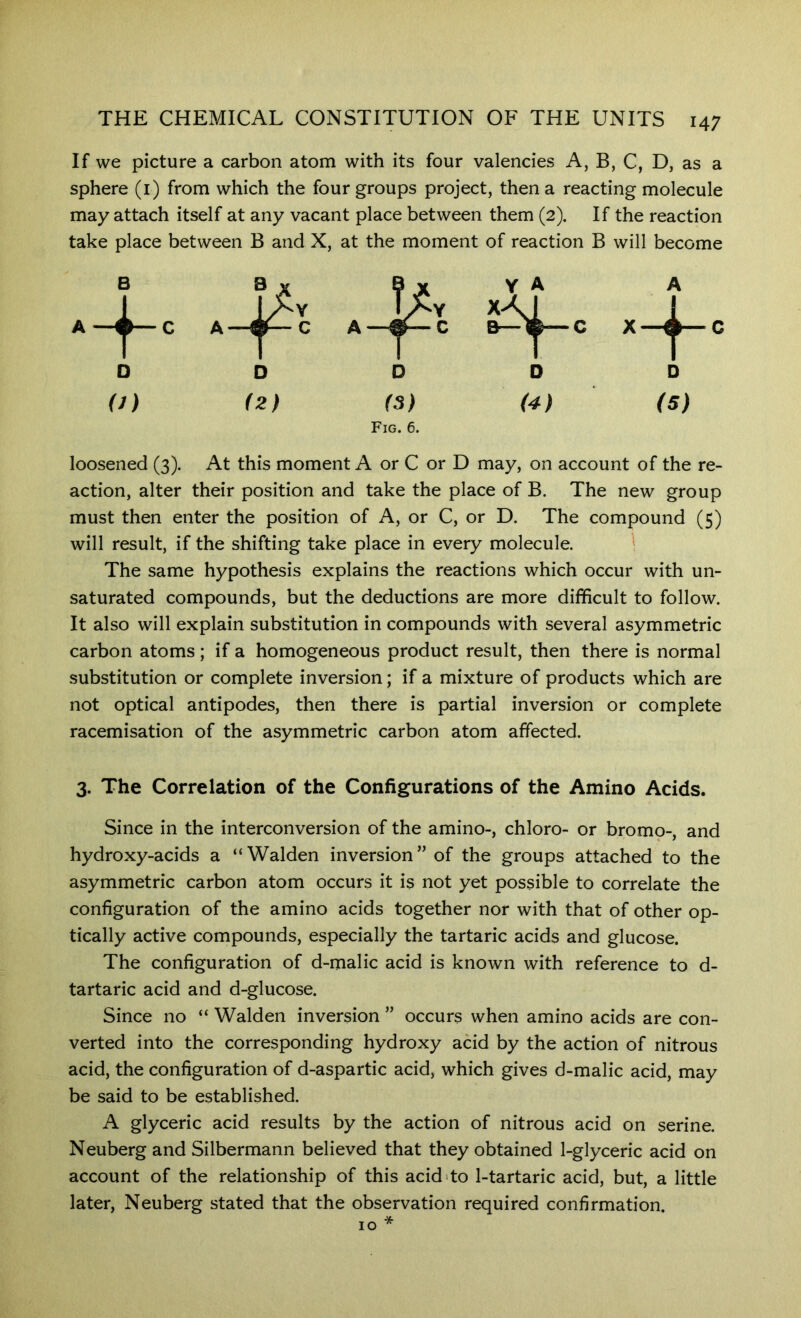 If we picture a carbon atom with its four valencies A, B, C, D, as a sphere (i) from which the four groups project, then a reacting molecule may attach itself at any vacant place between them (2). If the reaction take place between B and X, at the moment of reaction B will become Y A D (4) loosened (3). At this moment A or C or D may, on account of the re- action, alter their position and take the place of B. The new group must then enter the position of A, or C, or D. The compound (5) will result, if the shifting take place in every molecule. ^ The same hypothesis explains the reactions which occur with un- saturated compounds, but the deductions are more difficult to follow. It also will explain substitution in compounds with several asymmetric carbon atoms; if a homogeneous product result, then there is normal substitution or complete inversion; if a mixture of products which are not optical antipodes, then there is partial inversion or complete racemisation of the asymmetric carbon atom affected. 3. The Correlation of the Configurations of the Amino Acids. Since in the interconversion of the amino-, chloro- or bromp-, and hydroxy-acids a “Walden inversion” of the groups attached to the asymmetric carbon atom occurs it is not yet possible to correlate the configuration of the amino acids together nor with that of other op- tically active compounds, especially the tartaric acids and glucose. The configuration of d-malic acid is known with reference to d- tartaric acid and d-glucose. Since no “ Walden inversion ” occurs when amino acids are con- verted into the corresponding hydroxy acid by the action of nitrous acid, the configuration of d-aspartic acid, which gives d-malic acid, may be said to be established. A glyceric acid results by the action of nitrous acid on serine. Neuberg and Silbermann believed that they obtained 1-glyceric acid on account of the relationship of this acid'to 1-tartaric acid, but, a little later, Neuberg stated that the observation required confirmation 10 *