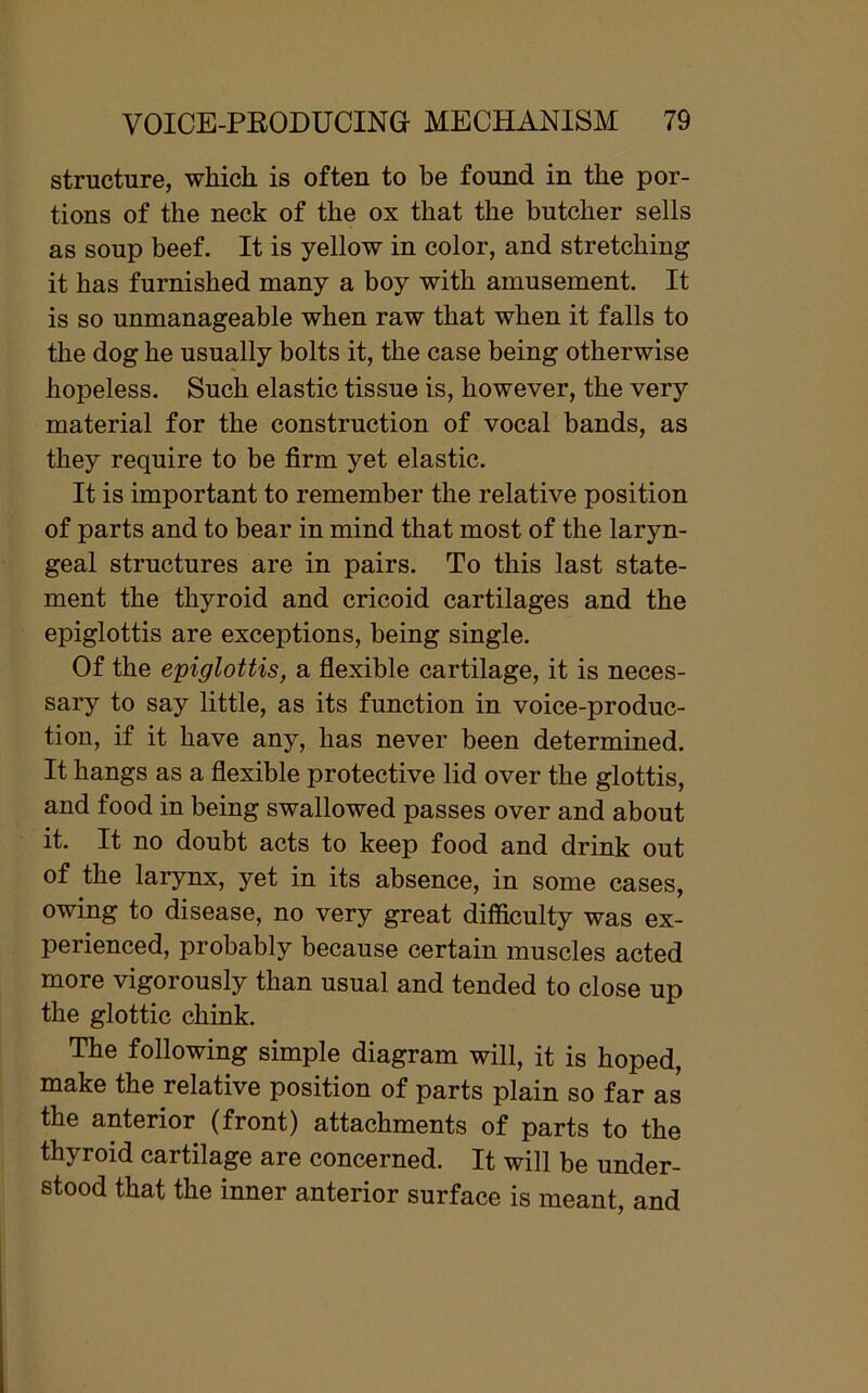 structure, which, is often to be found in the por- tions of the neck of the ox that the butcher sells as soup beef. It is yellow in color, and stretching it has furnished many a boy with amusement. It is so unmanageable when raw that when it falls to the dog he usually bolts it, the case being otherwise hopeless. Such elastic tissue is, however, the very material for the construction of vocal bands, as they require to be firm yet elastic. It is important to remember the relative position of parts and to bear in mind that most of the laryn- geal structures are in pairs. To this last state- ment the thyroid and cricoid cartilages and the epiglottis are exceptions, being single. Of the epiglottis, a flexible cartilage, it is neces- sary to say little, as its function in voice-produc- tion, if it have any, has never been determined. It hangs as a flexible protective lid over the glottis, and food in being swallowed passes over and about it. It no doubt acts to keep food and drink out of the larynx, yet in its absence, in some cases, owing to disease, no very great difficulty was ex- perienced, probably because certain muscles acted more vigorously than usual and tended to close up the glottic chink. The following simple diagram will, it is hoped, make the relative position of parts plain so far as the anterior (front) attachments of parts to the thyroid cartilage are concerned. It will be under- stood that the inner anterior surface is meant, and