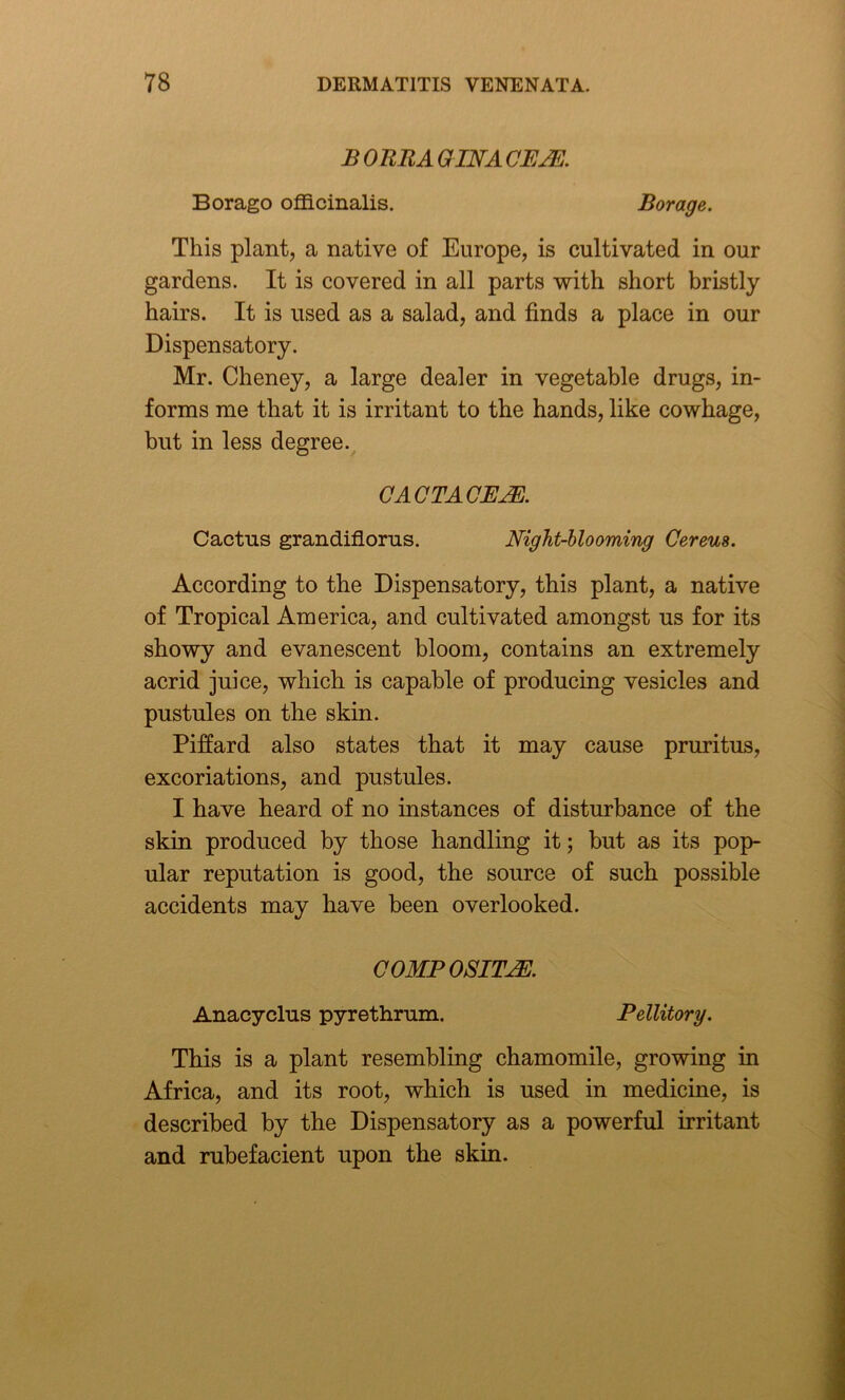 B ORBAGINACE'M Borago officinalis. Borage. This plant, a native of Europe, is cultivated in our gardens. It is covered in all parts with short bristly hairs. It is used as a salad, and finds a place in our Dispensatory. Mr. Cheney, a large dealer in vegetable drugs, in- forms me that it is irritant to the hands, like cowhage, but in less degree. CACTACJEM. Cactus grandiflorus. Night-blooming Cereus. According to the Dispensatory, this plant, a native of Tropical America, and cultivated amongst us for its showy and evanescent bloom, contains an extremely acrid juice, which is capable of producing vesicles and pustules on the skin. Piffard also states that it may cause pruritus, excoriations, and pustules. I have heard of no instances of disturbance of the skin produced by those handling it; but as its pop- ular reputation is good, the source of such possible accidents may have been overlooked. COMPOSITE. Anacyclus pyrethrum. Pellitory. This is a plant resembling chamomile, growing in Africa, and its root, which is used in medicine, is described by the Dispensatory as a powerful irritant and rubefacient upon the skin.