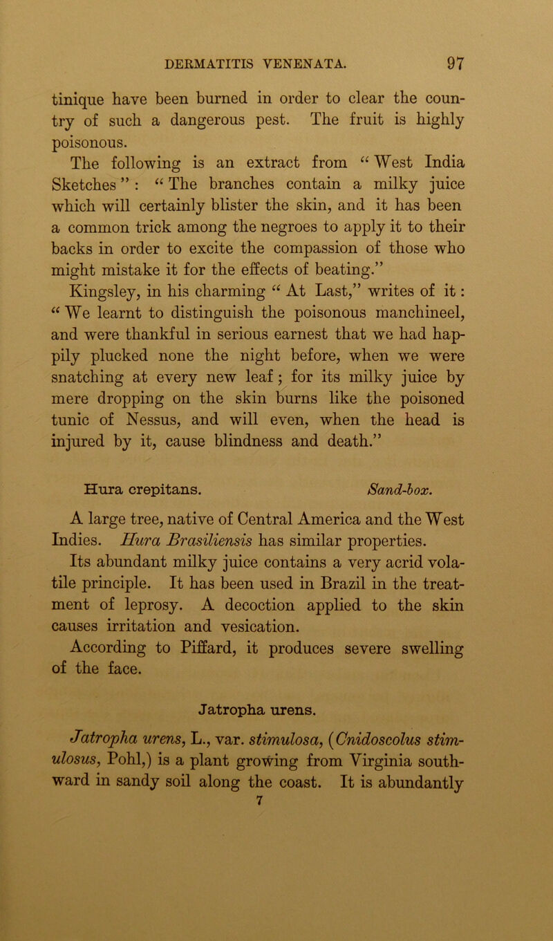 tinique have been burned in order to clear the coun- try of such a dangerous pest. The fruit is highly poisonous. The following is an extract from “ West India Sketches ”: “ The branches contain a milky juice which will certainly blister the skin, and it has been a common trick among the negroes to apply it to their backs in order to excite the compassion of those who might mistake it for the effects of beating.” Kingsley, in his charming “ At Last,” writes of it: “ We learnt to distinguish the poisonous manchineel, and were thankful in serious earnest that we had hap- pily plucked none the night before, when we were snatching at every new leaf; for its milky juice by mere dropping on the skin burns like the poisoned tunic of Nessus, and will even, when the head is injured by it, cause blindness and death.” Hura crepitans. Sand-box. A large tree, native of Central America and the West Indies. Hura JBrasiliensis has similar properties. Its abundant milky juice contains a very acrid vola- tile principle. It has been used in Brazil in the treat- ment of leprosy. A decoction applied to the skin causes irritation and vesication. According to Piffard, it produces severe swelling of the face. Jatropha urens. Jatro'pha urens, L., var. stimulosa, (Cnidoscolus stim- ulosus, Pohl,) is a plant growing from Virginia south- ward in sandy soil along the coast. It is abundantly 7