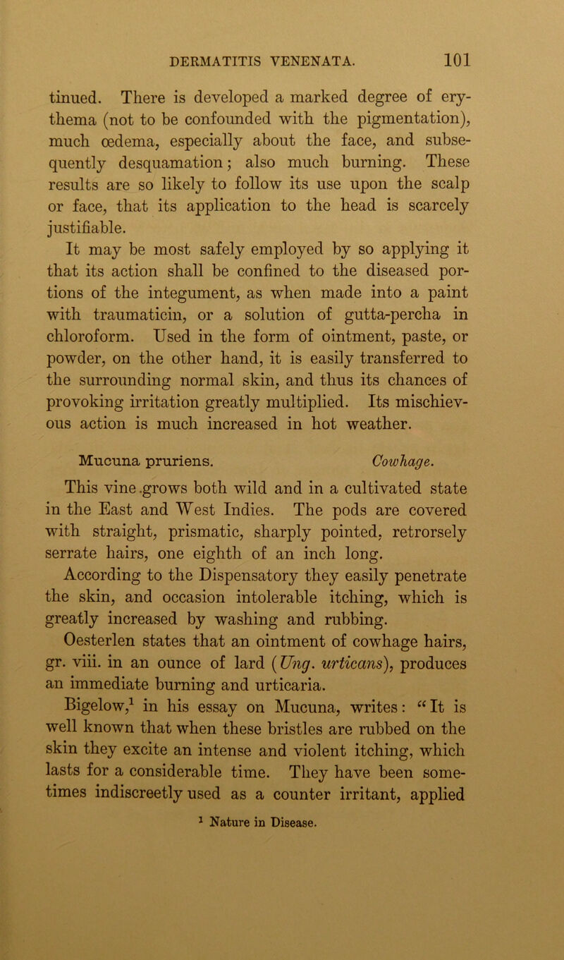 tinned. There is developed a marked degree of ery- thema (not to be confounded with the pigmentation), much oedema, especially about the face, and subse- quently desquamation; also much burning. These results are so likely to follow its use upon the scalp or face, that its application to the head is scarcely justifiable. It may be most safely employed by so applying it that its action shall be confined to the diseased por- tions of the integument, as when made into a paint with traumaticin, or a solution of gutta-percha in chloroform. Used in the form of ointment, paste, or powder, on the other hand, it is easily transferred to the surrounding normal skin, and thus its chances of provoking irritation greatly multiplied. Its mischiev- ous action is much increased in hot weather. Mucuna pruriens. Cowhage. This vine .grows both wild and in a cultivated state in the East and West Indies. The pods are covered with straight, prismatic, sharply pointed, retrorsely serrate hairs, one eighth of an inch long. According to the Dispensatory they easily penetrate the skin, and occasion intolerable itching, which is greatly increased by washing and rubbing. Oesterlen states that an ointment of cowhage hairs, gr. viii. in an ounce of lard (Ung. urticans), produces an immediate burning and urticaria. Bigelow,1 in his essay on Mucuna, writes: “ It is well known that when these bristles are rubbed on the skin they excite an intense and violent itching, which lasts for a considerable time. They have been some- times indiscreetly used as a counter irritant, applied 1 Nature in Disease.