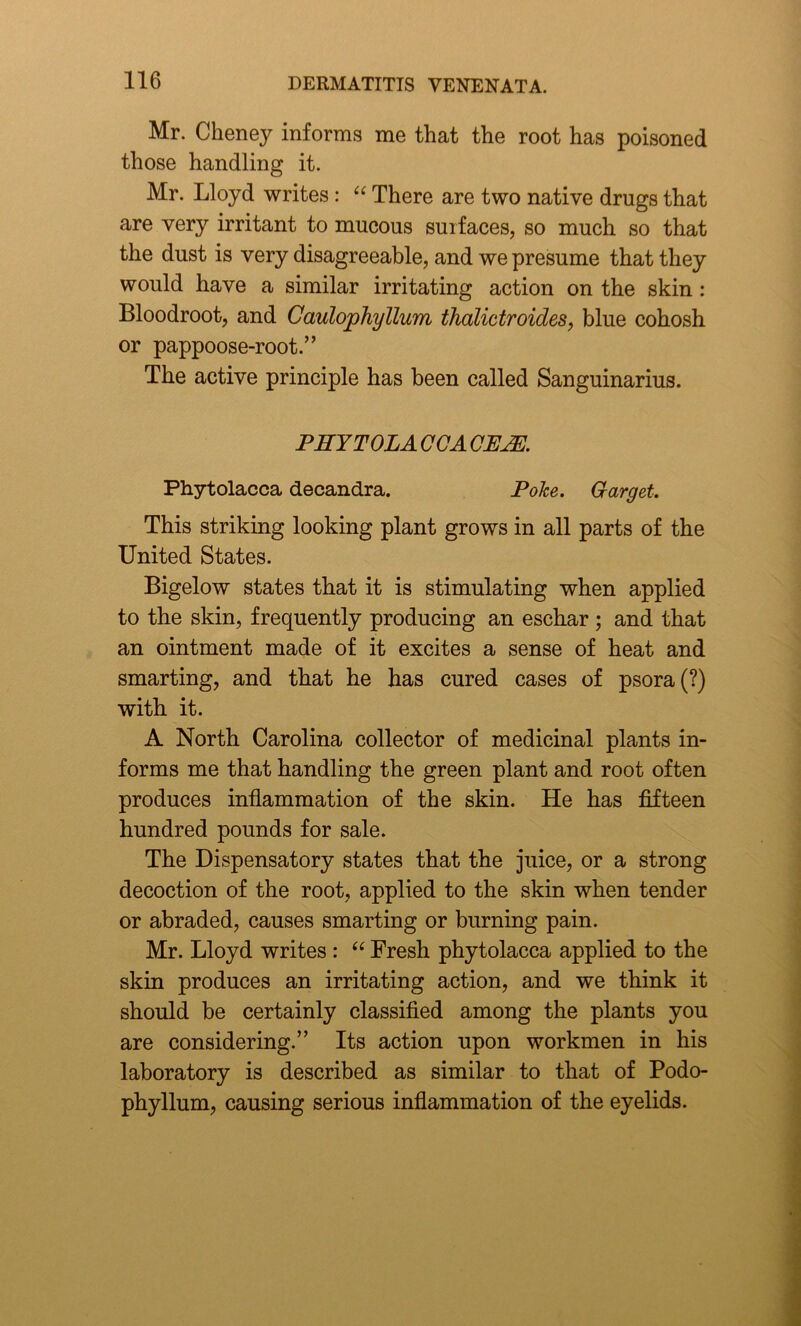 Mr. Cheney informs me that the root has poisoned those handling it. Mr. Lloyd writes : “ There are two native drugs that are very irritant to mucous surfaces, so much so that the dust is very disagreeable, and we presume that they would have a similar irritating action on the skin : Bloodroot, and Caulophyllum thalictroides, blue cohosh or pappoose-root.” The active principle has been called Sanguinarius. PHY TOLA CCA OEM. Phytolacca decandra. Poke. Garget. This striking looking plant grows in all parts of the United States. Bigelow states that it is stimulating when applied to the skin, frequently producing an eschar ; and that an ointment made of it excites a sense of heat and smarting, and that he has cured cases of psora (?) with it. A North Carolina collector of medicinal plants in- forms me that handling the green plant and root often produces inflammation of the skin. He has fifteen hundred pounds for sale. The Dispensatory states that the juice, or a strong decoction of the root, applied to the skin when tender or abraded, causes smarting or burning pain. Mr. Lloyd writes : “ Fresh phytolacca applied to the skin produces an irritating action, and we think it should be certainly classified among the plants you are considering.” Its action upon workmen in his laboratory is described as similar to that of Podo- phyllum, causing serious inflammation of the eyelids.