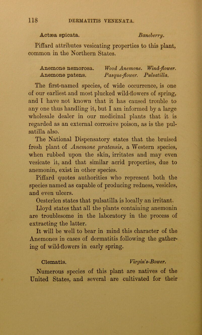 Actaea spicata. Baneberry. Piffard attributes vesicating properties to this plant, common in the Northern States. Anemone nemorosa. Wood Anemone. Wind-flower. Anemone patens. Pasque-flower. Pulsatilla. The first-named species, of wide occurrence, is one of our earliest and most plucked wild-flowers of spring, and 1 have not known that it has caused trouble to any one thus handling it, but I am informed by a large wholesale dealer in our medicinal plants that it is regarded as an external corrosive poison, as is the pul- satilla also. The National Dispensatory states that the bruised fresh plant of Anemone jpratensis, a Western species, when rubbed upon the skin, irritates and may even vesicate it, and that similar acrid properties, due to anemonin, exist in other species. Pifiard quotes authorities who represent both the species named as capable of producing redness, vesicles, and even ulcers. Oesterlen states that pulsatilla is locally an irritant. Lloyd states that all the plants containing anemonin are troublesome in the laboratory in the process of extracting the latter. It will be well to bear in mind this character of the Anemones in cases of dermatitis following the gather- ing of wild-flowers in early spring. Clematis. Virgin' s-Bower. Numerous species of this plant are natives of the United States, and several are cultivated for their