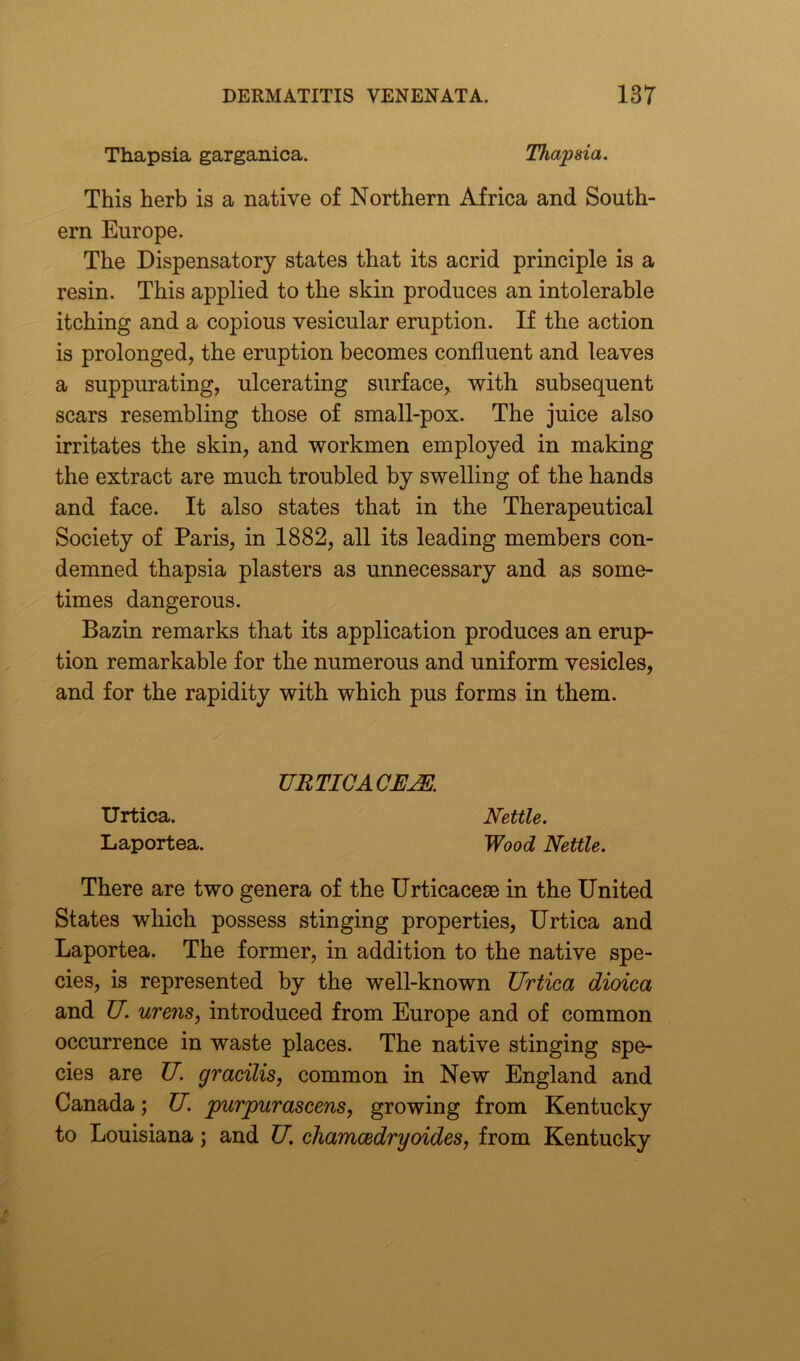 Thapsia garganica. Thapsia. This herb is a native of Northern Africa and South- ern Europe. The Dispensatory states that its acrid principle is a resin. This applied to the skin produces an intolerable itching and a copious vesicular eruption. If the action is prolonged, the eruption becomes confluent and leaves a suppurating, ulcerating surface, with subsequent scars resembling those of small-pox. The juice also irritates the skin, and workmen employed in making the extract are much troubled by swelling of the hands and face. It also states that in the Therapeutical Society of Paris, in 1882, all its leading members con- demned thapsia plasters as unnecessary and as some- times dangerous. Bazin remarks that its application produces an erup- tion remarkable for the numerous and uniform vesicles, and for the rapidity with which pus forms in them. URTICACNM Urtica. Nettle. Laportea. Wood Nettle. There are two genera of the Urticacese in the United States which possess stinging properties, Urtica and Laportea. The former, in addition to the native spe- cies, is represented by the well-known Urtica dioica and U. urens, introduced from Europe and of common occurrence in waste places. The native stinging spe- cies are U. gracilis, common in New England and Canada; U. purpurascens, growing from Kentucky to Louisiana; and U. chamcedryoides, from Kentucky
