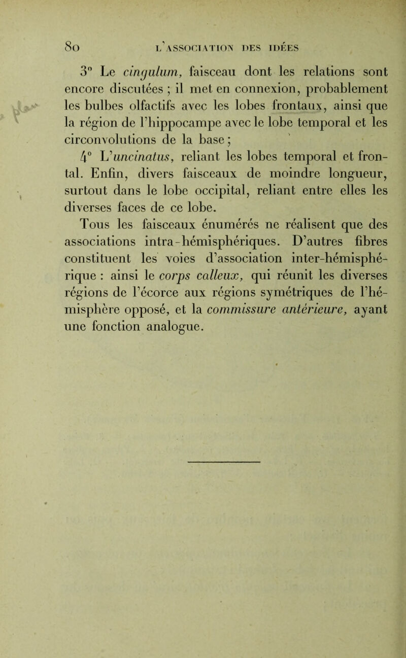 3° Le cingulum, faisceau dont les relations sont encore discutées ; il met en connexion, probablement les bulbes olfactifs avec les lobes frontaux, ainsi que la région de l’hippocampe avec le lobe temporal et les circonvolutions de la base ; 4° 1Suncinatus, reliant les lobes temporal et fron- tal. Enfin, divers faisceaux de moindre longueur, surtout dans le lobe occipital, reliant entre elles les diverses faces de ce lobe. Tous les faisceaux énumérés ne réalisent que des associations intra-hémisphériques. D’autres fibres constituent les voies d’association inter-hémisphé- rique : ainsi le corps calleux, qui réunit les diverses régions de l’écorce aux régions symétriques de l’hé- misphère opposé, et la commissure antérieure, ayant une fonction analogue.