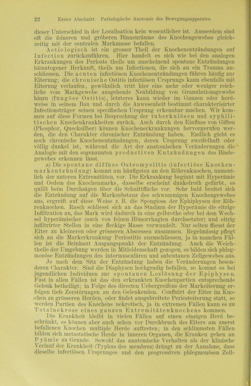 dieser Unterschied in der Localisation kein wesentlicher ist. Ausserdem sind oft die feineren und gröberen Binnenrätune des Knochengewebes gleich- zeitig mit der centralen Marianasse befallen. Aetio logisch ist ein grosser Theil der Knochenentzündungen auf Infection zurückzuführen. Hier handelt es sich wie bei den analogen Erkrankungen des Periosts tlieils um anscheinend spontane Entzündungen hämatogener Herkunft, tlieils um Infectionen, die sich an ein Trauma an- scliliessen. Die acuten infectiösen Knochenentzündungen fuhren häufig zur Eiterung; die chronische Ostitis infectiösen Ursprungs kann ebenfalls mit Eiterung verlaufen, gewöhnlich tritt hier eine mehr oder weniger reich- liche vom Markgewebe ausgehende Neubildung von Granulationsgewebe hinzu (fungöse Ostitis), letzteres kann wieder im Ganzen oder herd- weise in seinem Bau und durch die Anwesenheit bestimmt charakterisirter Infectionsträger seinen specifiscken Ursprung erkennbar machen. Wir kom- men auf diese Formen bei Besprechung der tuberkulösen und syphili- tischen Knochenkrankheiten zurück. Auch durch den Einfluss von Giften (Phosphor, Quecksilber) können Knochenerkrankungen hervorgerufen wer- den, die den Charakter chronischer Entzündung haben. Endlich giebt es noch chronische Knochenentzündungen, deren Ursprung zweifelhaft oder völlig dunkel ist, während die Art der anatomischen Veränderungen die Analogie mit den sogenannten productiven Entzündungen des Binde- gewebes erkennen lässt. a) Die spontane diffuse Osteomyelitis (infectiöse Knochen- mark entzünd ung) kommt am häufigsten an den Köhrenknochen, nament- lich der unteren Extremitäten, vor. Die Erkrankung beginnt mit Hyperämie und Oedem des Knochenmarks, dasselbe erscheint dunkelrotli gefärbt, es quillt beim Durchsägen über die Schnittfläche vor. Sehr bald breitet sich die Entzündung auf die Marksubstanz des schwammigen Knochengewebes aus, ergreift auf diese Weise z. B. die Spongiosa der Ephiphysen der Röh- renknochen. Rasch schliesst sich an das Stadium der Hyperämie die eitrige Infiltration an, das Mark wird dadurch in eine gelbrothe oder bei dem Wech- sel hyperämischer (auch von feinen Hömorrhagien durchsetzter) und eitrig infiltrirter Stellen in eine fleckige Masse verwandelt. Nur selten fliesst der Eiter zu kleineren oder grösseren Abscessen zusammen. Regelmässig pflegt sich an die Markerkrankung Periostitis anzuschliessen. ja in manchen Fäl- len ist die Beinhaut Ausgangspunkt der Entzündung. Auch die Weicli- theile der Umgebung werden in Mitleidenschaft gezogen, es bilden sich phleg- monöse Entzündungen des intermusculären und subcutanen Zellgewebes aus. Je nach dem Sitz der Entzündung haben die Veränderungen beson- deren Charakter. Sind die Diaphysen hochgradig befallen, so kommt es bei jugendlichen Individuen zur spontanen Loslösung der Epiphysen. Fast in allen Fällen ist das den erkrankten Knochenpartien entsprechende Gelenk betheiligt ; in Folge des directen Uebergreifens der Markeiterung er- folgen tiefe Zerstörungen an den Gelenkenden. Oonfluirt der Eiter im Kno- •chen zu grösseren Herden, oder findet ausgebreitete Periosteiterung statt, so werden Partien des Knochens nekrotisch, ja in extremen Fällen kann es zu Totalnekrose eines ganzen Extremitätenknochens kommen. Die Krankheit bleibt in vielen Fällen auf einen einzigen Herd be- schränkt, es können aber auch schon vor Durchbruch des Eiters am zuerst befallenen Knochen multiple Herde auftreten; in den schlimmsten Fällen bilden sich metastatische Herde in inneren Organen, die Kranken gehen an Pyämie zu Grunde. Sowohl das anatomische Verhalten als der klinische Verlauf der Krankheit (Typhus des membres) drängt zu der Annahme, dass dieselbe infectiösen Ursprunges und den progressiven phlegmonösen Zell-