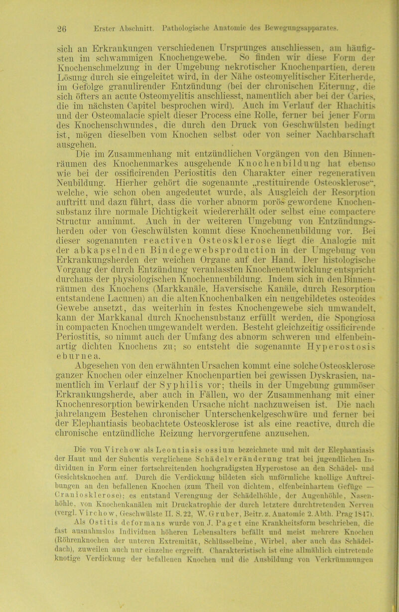 sich an Erkrankungen verschiedenen Ursprunges anschliessen. am häufig- sten im schwammigen Knochengewebe. So finden wir diese Form der Knochenschmelzung in der Umgebung nekrotischer Knochenpartien, deren Lösung durch sie eingeleitet wird, in der Nähe osteomyelitischer Eiterherde, im Gefolge granulirender Entzündung (bei der chronischen Eiterung, die sich öfters an acute Osteomyelitis anschliesst, namentlich aber bei der Caries. die im nächsten Capitel besprochen wird). Audi im Verlauf der Bhachitis und der Osteomalacie spielt dieser Process eine Bolle, ferner bei jener Form des Knochenschwundes, die durch den Druck von Geschwülsten bedingt ist, mögen dieselben vom Knochen selbst oder von seiner Nachbarschaft ausgehen. Die im Zusammenhang mit entzündlichen Vorgängen von den Binnen- räumen des Knochenmarkes ausgehende Knochenbildung hat ebenso wie bei der ossificirenden Periostitis den Charakter einer regenerativen Neubildung. Hierher gehört die sogenannte „restituirende Osteosklerose”, welche, wie schon oben angedeutet wurde, als Ausgleich der Kesorption auftritt und dazu führt, dass die vorher abnorm porös gewordene Kuochen- substanz ihre normale Dichtigkeit wiedererhält oder selbst eine compactere Structur annimmt. Auch in der weiteren Umgebung von Entzündungs- herden oder von Geschwülsten kommt diese Knochenneubildung vor. Bei dieser sogenannten reactiven Osteosklerose liegt die Analogie mit der abkapselnden Bindegewebsproduction in der Umgebung von Erkrankungsherden der weichen Organe auf der Hand. Der histologische Vorgang der durch Entzündung veranlassten Knochenentwicklung entspricht durchaus der physiologischen Knochenneubildung. Indem sich in den Binnen- räumen des Knochens (Markkanäle, Haversische Kanäle, durch Kesorption entstandene Lacunen) an die altenKnochenbalken ein neugebildetes osteoides Gewebe ansetzt, das weiterhin in festes Knochengewebe sich umwaudelt. kann der Markkanal durch Knochensubstanz erfüllt werden, die Spongiosa in compacten Knochen umgewandelt werden. Besteht gleichzeitig ossificirende Periostitis, so nimmt auch der Umfang des abnorm schweren und elfenbein- artig dichten Knochens zu; so entsteht die sogenannte Hyperostosis e b u r n e a. Abgesehen von den erwähnten Ursachen kommt eine solche Osteosklerose ganzer Knochen oder einzelner Knochenpartien bei gewissen Dyskrasien. na- mentlich im Verlauf der Syphilis vor; theils in der Umgebung gummöser Erkrankungsherde, aber auch in Fällen, wo der Zusammenhang mit einer Knochenresorption bewirkenden Ursache nicht nachzuweisen ist. Die nach jahrelangem Bestehen chronischer Unterschenkelgeschwüre und ferner bei der Elephantiasis beobachtete Osteosklerose ist als eine reactive. durch die chronische entzündliche Beizung hervorgerufene anzusehen. Die von Yirchow als Leontiasis ossium bezeichnete und mit der Elephantiasis der Haut und der Subcutis verglichene Schädel Veränderung trat bei jugendlichen In- dividuen in Form einer fortschreitenden hochgradigsten Hyperostose au den Schädel- und Gesichtsknochen auf. Durch die Verdickung bildeten sieb unförmliche knollige Auftrei- bungen an den befallenen Knochen (zum Tlieil von dichtem, elfenbeinhartem Gefüge — Praniosklerose); es entstand Verengung der Schädelhöhie, der Augenhöhle, Nasen- höhle. von Knochenkauälcn mit Druckatrophie der durch letztere durchtretenden Nerven (vergl. V irehow, Geschwülste II. S.2'2, W.G ruber, Beitr.z. Anatomie 2.Abth. Pragl$47i. Als Ostitis de forma ns wurde von J. Paget eine Krankheitsform beschrieben, die fast ausnahmslos Individuen höheren Lebensalters befällt und meist mehrere Knochen (Röhrenknochen der unteren Extremität, Schlüsselbeine, Wirbel, aber auch das Schädel- dach), zuweilen auch nur einzelne ergreift. Charakteristisch ist eine allmählich eintretende knotige Verdickung der befallenen Knochen und die Ausbildung von Verkrümmungen