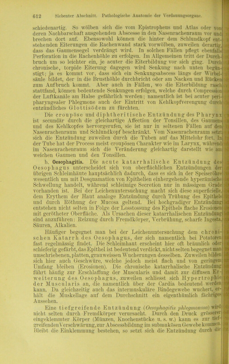 schiedenartig. So wölben sich die vom Epistropheus und Atlas oder von deren Nachbarschaft ausgehenden Abscesse in den Nasenrachenraum vor und brechen dort auf. Ebensowohl können die hinter dem Schlundkopf ent- stehenden Eiterungen die Rachenwand stark vorwölben, zuweilen derartig, dass das Gaumensegel verdrängt wird. In solchen Fällen pflegt ebenfalls Perforation in die Rachenhöhle zu erfolgen. Im Allgemeinen tritt der Durch- bruch um so leichter ein, je acuter die Eiterbildung vor sich ging. Durch: chronische, torpide Eiterung dagegen wird Senkung nach unten begün- stigt; ja es kommt vor, dass sich ein Senkungsabscess längs der Wirbel- säule bildet, der in die Brusthöhle durchbricht oder am Nacken und Rücken zum Aufbruch kommt. Aber auch in Fällen, wo die Eiterbildung rasch stattfand, können bedeutende Senkungen erfolgen, welche durch Compression der Luftkanäle am Halse gefährlich werden; namentlich ist bei acuter peri- pharyngealer Phlegmone auch der Eintritt von Kehlkopfverengung durch entzündliches Glottisödem zu fürchten. Die croupÖse und diphtheritische Entzündung des Pharynx ist secundär durch die gleichartige Affection der Tonsillen, des Gaumens und des Kehlkopfes hervorgerufen, sie ist nur in seltenen Fällen auf den Nasenrachenraum und Schlundkopf beschränkt. Vom Nasenrachenraum >etzt sich die Entzündung zuweilen durch die Tuben auf das Mittelohr fort. In der Tube hat der Process meist croupösen Charakter wie im Larynx. während im Nasenrachenraum sich die Veränderung gleichartig darstellt wie am weichen Gaumen und den Tonsillen. b. Oesophagitis. Die acute katarrhalische Entzündung des Oesophagus unterscheidet sich von oberflächlichen Entzündungen der - übrigen Schleimhäute hauptsächlich dadurch, dass es sich in der Speiseröhre wesentlich um mit Desquamation von Epithelien einhergehende hyperämische Schwellung handelt, während schleimige Secretion nur in massigem Grade vorhanden ist. Bei der Leichenuntersnchung macht sich diese superficielle. dem Erythem der Haut analoge Entzündung durch Trübung des Epithels und durch Röthung der Mucosa geltend. Bei hochgradiger Entzündung l entstehen nicht selten in Folge der Losstossung des Epithels flache Erosionen mit gerötheter Oberfläche. Als Ursachen dieser katarrhalischen Entzündung sind anzuführen: Reizung durch Fremdkörper, Verbrühung, scharfe Ingesta. i Säuren, Alkalien. Häufiger begegnet man bei der Leichenuntersuchung dem chroni sehen Katarrh des Oesophagus, der sich namentlich bei Potatoren fast regelmässig findet. Die Schleimhaut erscheint hier oft bräunlich oder schieferig gefärbt, das Epithel ist bedeutend verdickt, nicht selten begegnet man umschriebenen, platten, grauweissen Wucherungen desselben. Zuweilen bilden sich hier auch Geschwüre, welche jedoch meist flach und von geringem (Erosionen). Die chronische katarrhalische Entzündung Erschlaffung der Muscularis und damit zur diffusen Er- weiterung des Oesophagus, zuweilen schliesst sich Hypertrophie der Muscularis an, die namentlich über der Cardia bedeutend tverden kann. Da gleichzeitig auch das intermuskuläre Bindegewebe wuchert, er- hält die Muskellage auf dem Durchschnitt ein eigenthümlich fachrige.' Aussehen. Umfang bleiben führt häufig zur Eine tiefgreifende Entzündung {Oesophagitis phlegmonosa) wird nicht selten durch Fremdkörper verursacht. Durch den Druck grösserer eingeklemmter Körper (Münzen, Knochenstücke u. s. w.) kann es zur tief- greifenden Verschwärung, zur Abscessbildung im submukösen Gewebe kommen- Bleibt die Einklemmung bestehen, so setzt sich die Entzündung durch die