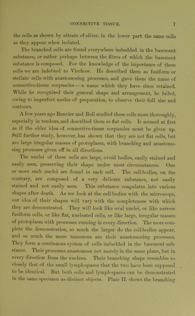 the cells as shown by nitrate of silver, in the lower part the same cells as they appear when isolated. The branched cells are found everywhere imbedded in the basement substance, or rather perhaps between the fibres of which the basement substance is composed. For the knowledge of the importance of these cells we are indebted to Virchow. He described them as fusiform or stellate cells with anastomosing processes, and gave them the name of connective-tissue corpuscles — a name which they have since retained. While he recognized their general shape and arrangement, he failed, owing to imperfect modes of preparation, to observe their full size and contours. A few years ago Ranvier and Boll studied these cells more thoroughly, especially in tendons, and described them as flat cells. It seemed at first as if the older idea of connective-tissue corpuscles must be given up. Still further study, however, has shown that they are not flat cells, but are large irregular masses of protoplasm, with branching and anastomo- sing processes given off in all directions. The nuclei of these cells are large, ovoid bodies, easily stained and easily seen, preserving their shape under most circumstances. One or more such nuclei are found in each cell. The cell-bodies, on the contrary, are composed of a very delicate substance, not easily stained and not easily seen. This substance coagulates into various shapes after death. As we look at the cell-bodies with the microscope, our idea of their shapes will vary with the completeness with which they are demonstrated. They will look like oval nuclei, or like narrow fusiform cells, or like flat, nucleated cells, or like large, irregular masses of protoplasm with processes running in every direction. The more com- plete the demonstration, so much the larger do the cell-bodies appear, and so much the more numerous are their anastomosing processes. They form a continuous system of cells imbedded in the basement sub- stance. Their processes anastomose not merely in the same plane, but in every direction from the nucleus. Their branching shape resembles so closely that of the small lymph-spaces that the two have been supposed to be identical. But both cells and lymph-spaces can be demonstrated in the same specimen as distinct objects. Plate II. shows the branching