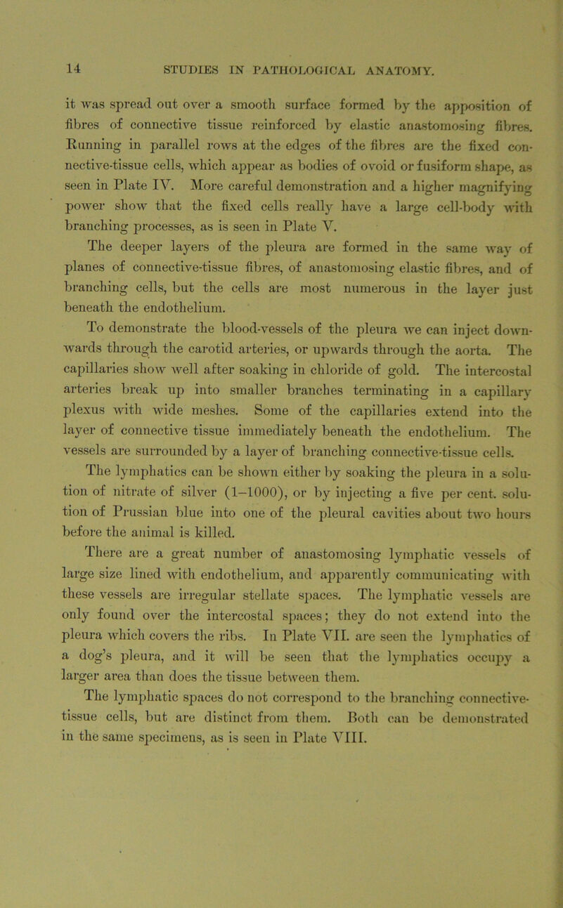 it was spread out over a smooth surface formed by the apposition, of fibres of connective tissue reinforced by elastic anastomosing fibres. Running in parallel rows at the edges of the fibres are the fixed con- nective-tissue cells, which appear as bodies of ovoid or fusiform shape, a< seen in Plate IV. More careful demonstration and a higher magnifying power show that the fixed cells really have a large cell-body with branching processes, as is seen in Plate V. The deeper layers of the pleura are formed in the same way of planes of connective-tissue fibres, of anastomosing elastic fibres, and of branching cells, but the cells are most numerous in the layer just beneath the endothelium. To demonstrate the blood-vessels of the pleura we can inject down- wards through the carotid arteries, or upwards through the aorta. The capillaries show well after soaking in chloride of gold. The intercostal arteries break up into smaller branches terminating in a capillary plexus with wide meshes. Some of the capillaries extend into the layer of connective tissue immediately beneath the endothelium. The vessels are surrounded by a layer of branching connective-tissue cells. The lymphatics can be shown either by soaking the pleura in a solu- tion of nitrate of silver (1—1000), or by injecting a five per cent, solu- tion of Prussian blue into one of the pleural cavities about two hours before the animal is killed. There are a great number of anastomosing lymphatic vessels of large size lined with endothelium, and apparently communicating with these vessels are irregular stellate spaces. The lymphatic vessels are only found over the intercostal spaces; they do not extend into the pleura which covers the ribs. In Plate VII. are seen the lymphatics of a dog’s pleura, and it will be seen that the lymphatics occupy a larger area than does the tissue between them. The lymphatic spaces do not correspond to the branching connective- tissue cells, but are distinct from them. Roth can be demonstrated in the same specimens, as is seen in Plate VIII.