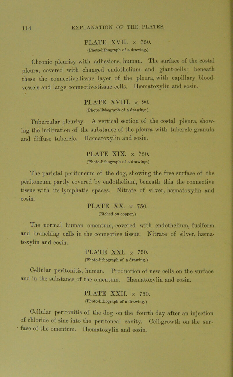 PLATE XVII. x 750. (Photo-lithograph of a drawing.) Chronic pleurisy with adhesions, human. The surface of the costal pleura, covered with changed endothelium and giant-cells; beneath these the connective-tissue layer of the pleura, with capillary blood- vessels and large connective-tissue cells. Hsematoxylin and eosin. PLATE XVIII. x 90. (Photo-lithograph of a drawing.) Tubercular pleurisy. A vertical section of the costal pleura, show- ing the infiltration of the substance of the pleura with tubercle granula and diffuse tubercle. Hsematoxylin and eosin. PLATE XIX. x 750. (Photo-lithograph of a drawing.) The parietal peritoneum of the dog, showing the free surface of the peritoneum, partly covered by endothelium, beneath this the connective tissue with its lymphatic spaces. Nitrate of silver, haematoxylin and eosin. PLATE XX. x 750. (Etched on copper.) The normal human omentum, covered with endothelium, fusiform and branching cells in the connective tissue. Nitrate of silver, hsema- toxylin and eosin. PLATE XXI. x 750. (Photo-lithograph of a drawing.) Cellular peritonitis, human. Production of new cells on the surface and in the substance of the omentum. Hsematoxylin and eosin. PLATE XXII. x 750. (Photo-lithograph of a drawing.) Cellular peritonitis of the dog on the fourth day after an injection of chloride of zinc into the peritoneal cavity. Cell-growth on the sur- face of the omentum. Hsematoxylin and eosin.