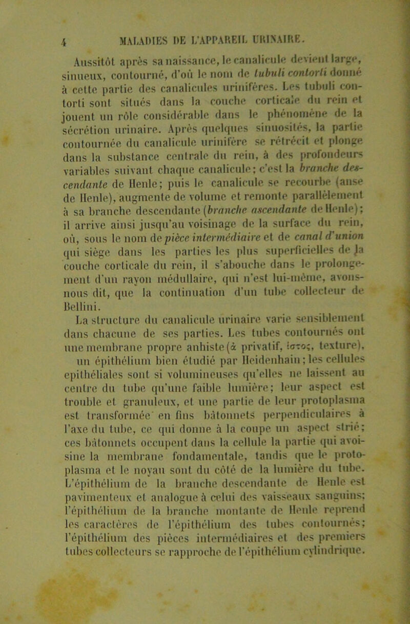 Aussitôt après sa naissance, le canalicule devient large, sinueux, contourné, d’où le nom de lubuli contorli donné à cette partie des canalicules uriniféres. Les tubuli con- torli sont situés dans la couche corticale du rein et jouent un rôle considérable dans le phénomène de la sécrétion urinaire. Après quelques sinuosités, la partie contournée du canalicule. urinifère se rétrécit et plonge dans la substance centrale du rein, à des profondeurs variables suivant chaque canalicule; c'est la branche des- cendante de llenle ; puis le canalicule se recourbe {anse de llenle), augmente de volume et remonte parallèlement à sa branche descendante (branche ascendante de llenle); il arrive ainsi jusqu’au voisinage de la surface «lu rein, où, sous le nom de pièce intermédiaire et de canal d'union qui siège dans les parties les plus superficielles de Ja couche corticale du rein, il s’abouche dans le prolonge- ment d’un rayon médullaire, qui n'est lui-même, avons- nous dit, que la continuation d'un tube collecteur de Bellini. La structure du canalicule urinaire varie sensiblement dans chacune de ses parties. Les tubes contournés ont une membrane propre anhiste(à privatif, «ovo;, texture), un épithélium bien étudié par Ileidenhain ; les cellules epithéliales sont si volumineuses qu’elles ne laissent au centre du tube qu’une faible lumière; leur aspect est trouble et granuleux, et une partie de leur protoplasina est transformée' en fins bâtonnets perpendiculaires à l’axe du tube, ce qui donne à la coupe un aspect strié; ces bâtonnets occupent dans la cellule la partie qui avoi- sine la membrane fondamentale, tandis «pie le proto- plasma et le noyau sont du côté de la lumière du tube. L’épithélium de la branche descendante de llenle est pavimenleux et analogue A celui des vaisseaux sanguins; l’épithélium de la branche montante de llenle reprend les caractères de l’épithélium des tubes contournés; l’épithélium des pièces intermédiaires et des premiers tubes collecteurs se rapproche de l’épithélium cylindrique.