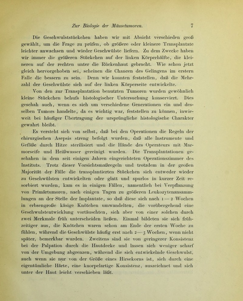 Die Geschwulststückchen haben wir mit Absicht verscliieden grofi gewâhlt, um die Frage zu prüfen, ob grôfîere oder kleinere Transplantatc leicliter anwachsen und wieder Geschwülste liefern. Zu dem Zwecke haben wir immer die grôfieren Stückchen auf der linken Kôrperhâlfte, die klei- neren auf der rechten unter die Rückenliaut gebraeht. Wie schon jetzt gleich hervorgehoben sei, scheinen die Chancen des Gelingens im erstern Falle die bessern zu sein. Denn wir konnten feststellen, dafi die Mehr- zahl der Geschwülste sich auf der linken Kôrperseite entwickelte. Von den zur Transplantation benutzten Tumoren wurden gewohnlich kleine Stückchen beliufs histologischer Untersuchung konserviert. Dies geschah auch, wenn es sich um verscliiedene Generationen ein und des- selben Tumors handelte, da es wichtig war, feststellen zu kônnen, inwie- weit bei hâufiger Übertragung der ursprüngliche histologische Charakter gewahrt bleibt. Es versteht sich von selbst, dafi bei den Operationen die Regeln der chirurgischen Asepsis streng befolgt wurden, dafi aile Instrumente und Gefafie durch Hitze sterilisiert und die H an de des Operateurs mit Mar- morseife und Heifiwasser gereinigt wurden. Die Transplantationen ge- schahen in dem seit einigen Jahren eingerichteten Operationszimmer des Instituts. Trotz dieser Vorsiclitsmafiregeln und trotzdem in der grofien Majoritât der Falle die transplantierten Stückchen sich entweder wieder zu Geschwülsten entwickelten oder glatt und spurlos in kurzer Zeit re- sorbiert wurden, kam es in einigen Fallen, namentlich bei Yerpflanzung von Primârtumoren, nach einigen Tagen zu grôfieren Leukozytenansamm- lungen an der Stelle der Implantate, so dafi diese sich nach i—2 Wochen in erbsengrofie kasige Knôtchen umwandelten, die vorübergehend eine Geschwulstentwicklung vortâuscliten, sich aber von einer solchen durch zwei Merkmale früli unterscheiden liefien. Eimnal bildeten sie sich früh- zeitiger aus, die Knôtchen waren schon am Ende der ersten Woche zu fühlen, wâhrend die Geschwülste liâufig erst nach 2—3 Wochen, wenn niclit spater, bemerkbar wurden. Zweitens sind sie von geringerer Konsistenz bei der Palpation durch die Hautdecke und lassen sich weniger scliarf von der Umgebung abgrenzen, wâhrend die sich entwickelnde Geschwulst, auch wenn sie nur von der Grôfie eines Hirsekorns ist, sich durch eine eigentümliche Flârte, eine knorpelartige Konsistenz, auszeiclmet und sich unter der Haut leicht verschieben la fit.
