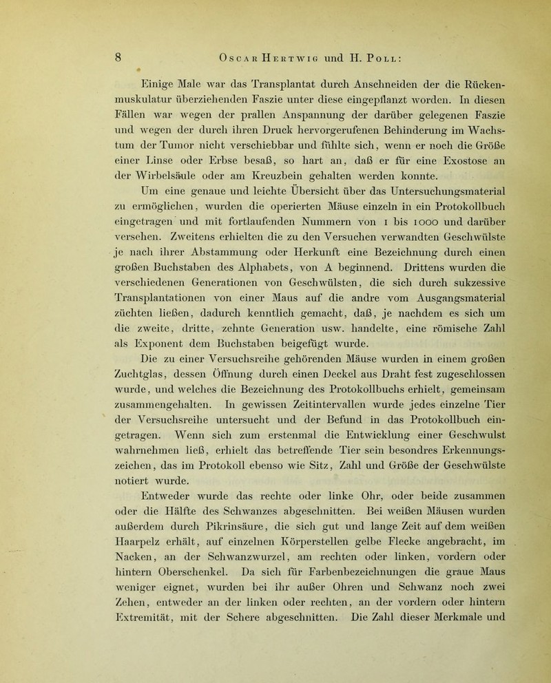 Einige Male war (las Transplantât durch Anschneiden der die Rücken- muskulatur überziehenden Faszie unter diese eingepflanzt worden. In diesen Fallen war wegen der prallen Anspannung der darüber gelegenen Faszie und wegen der durch ihren Druck hervorgerufenen Behinderung im Wachs- tum der Tumor nicht verschiebbar und fühlte sich, wenn er noch die GrôBe einer Linse oder Erbse besaB, so hart an, daB er für eine Exostose an der Wirbelsaule oder am Kreuzbein gehalten werden konnte. Um eine genaue und leichte Übersicht über das Untersuchungsmaterial zu ermôgliclien, wurden die operierten Mâuse einzeln in ein Protokollbuch eingetragen und mit fortlaufenden Nummern von i bis 1000 und darüber versehen. Zweitens erhielten die zu den Versuchen verwandten Geschwülste je nach ihrer Abstammung oder Herkunft eine Bezeichnung durch einen groBen Buchstaben des Alphabets, von A beginnend. Drittens wurden die verschiedenen Generationen von Geschwülsten, die sich durch sukzessive Transplantationen von einer Maus auf die andre vom Ausgangsmaterial züchten lieBen, dadurch kenntlich gemacht, daB, je nachdem es sich um die zweite, dritte, zehnte Génération usw. handelte, eine rômische Zahl als Ex pou eut dem Buchstaben beigefügt wurde. Die zu einer Yersuchsreihe gehôrenden Mause wurden in einem groBen Zuchtglas, dessen Ôffnung durch einen Deckel aus Draht fest zugeschlossen wurde, und welclies die Bezeichnung des Protokollbuchs erhielt, gemeinsam zusammengehalten. In gewissen Zeitintervallen wurde jedes einzelne Tier der Y ersuchsreihe untersucht und der Befund in das Protokollbuch ein- getragen. Wenn sich zum erstenmal die Entwicklung einer Geschwulst wahrnehmen lieB, erhielt das betreffende Tier sein besondres Erkennungs- zeichen, das im Protokoll ebenso wie Sitz, Zahl und Grôfie der Geschwülste notiert wurde. Entweder wurde das rechte oder linke Ohr, oder beide zusammen oder die Hâlfte des Schwanzes abgeschnitten. Bei weiBen Mausen wurden auBerdem durch Pikrinsâure, die sich gut und lange Zeit auf dem weiBen Haarpelz erhâlt, auf einzelnen Kôrperstellen gelbe Flecke angebracht, im Naclcen, an der Schwanzwurzel, am rechten oder linken, vordern oder hintern Oberschenkel. Da sich für Farbenbezeichnungen die graue Maus weniger eignet, wurden bei ihr auBer Ohren und Schwanz noch zwei Zelien, entweder an der linken oder rechten, an der vordern oder hintern Extremitât, mit der Schere abgeschnitten. Die Zahl dieser Merkinale und