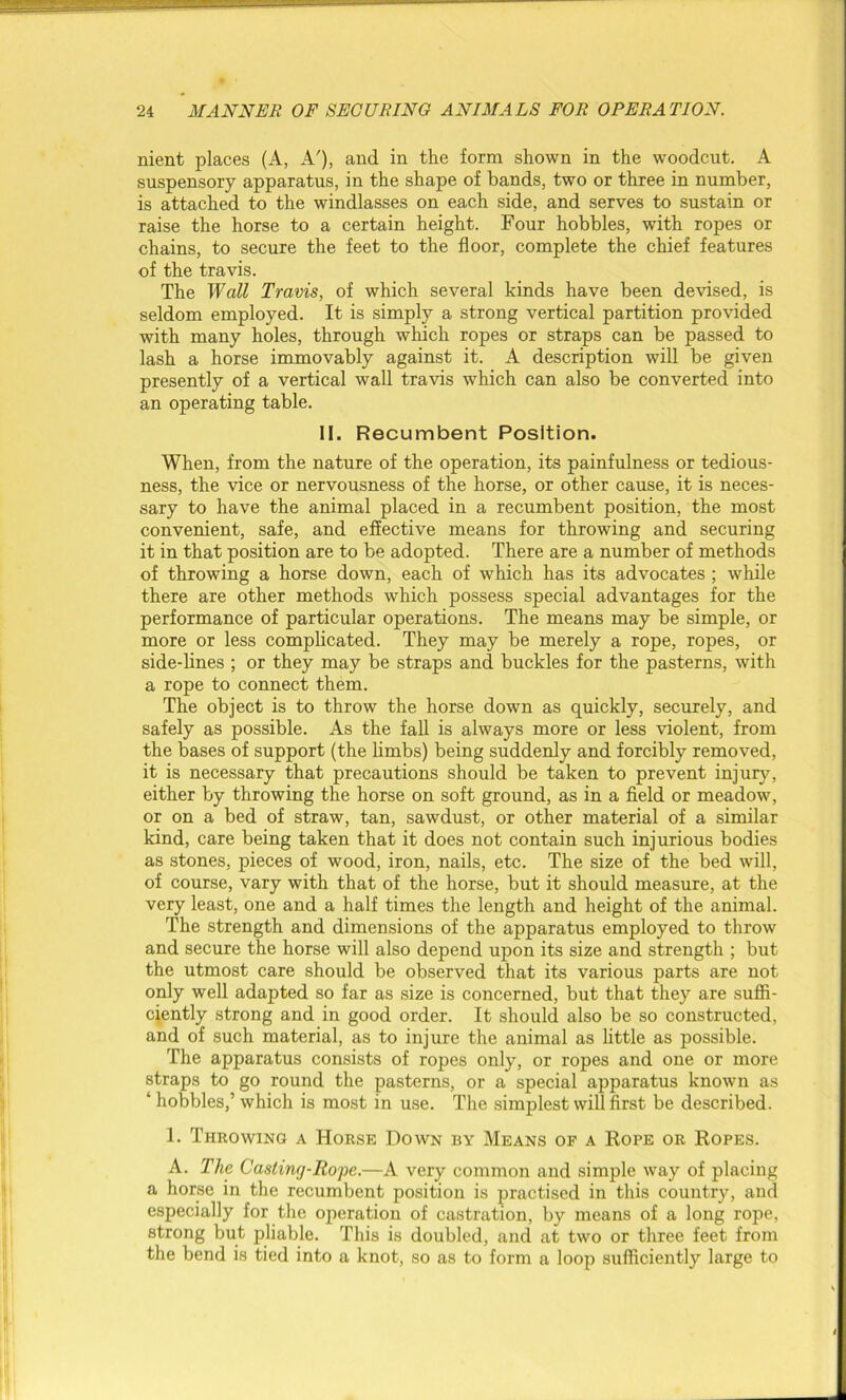 nient places (A, A'), and in the form shown in the woodcut. A suspensory apparatus, in the shape of bands, two or three in number, is attached to the windlasses on each side, and serves to sustain or raise the horse to a certain height. Four hobbles, with ropes or chains, to secure the feet to the floor, complete the chief features of the travis. The Wall Travis, of which several kinds have been devised, is seldom employed. It is simply a strong vertical partition provided with many holes, through which ropes or straps can be passed to lash a horse immovably against it. A description will be given presently of a vertical wall travis which can also be converted into an operating table. 11. Recumbent Position. When, from the nature of the operation, its painfulness or tedious- ness, the vice or nervousness of the horse, or other cause, it is neces- sary to have the animal placed in a recumbent position, the most convenient, safe, and effective means for throwing and securing it in that position are to be adopted. There are a number of methods of throwing a horse down, each of which has its advocates ; while there are other methods which possess special advantages for the performance of particular operations. The means may be simple, or more or less complicated. They may be merely a rope, ropes, or side-lines ; or they may be straps and buckles for the pasterns, with a rope to connect them. The object is to throw the horse down as quickly, securely, and safely as possible. As the fall is always more or less violent, from the bases of support (the limbs) being suddenly and forcibly removed, it is necessary that precautions should be taken to prevent injury, either by throwing the horse on soft ground, as in a field or meadow, or on a bed of straw, tan, sawdust, or other material of a similar kind, care being taken that it does not contain such injurious bodies as stones, pieces of wood, iron, nails, etc. The size of the bed will, of course, vary with that of the horse, but it should measure, at the very least, one and a half times the length and height of the animal. The strength and dimensions of the apparatus employed to throw and secure the horse will also depend upon its size and strength ; but the utmost care should be observed that its various parts are not only well adapted so far as size is concerned, but that they are suffi- ciently strong and in good order. It should also be so constructed, and of such material, as to injure the animal as little as possible. The apparatus consists of ropes only, or ropes and one or more straps to go round the pasterns, or a special apparatus known as ‘ hobbles,’ which is most in use. The simplest will first be described. 1. Throwing a Horse Down by Means of a Rope or Ropes. A. The Caslinrj-Ro'pe.—A very common and simple way of placing a horse in the recumbent position is practised in this country, and especially for the operation of castration, by means of a long rope, strong but pliable. This is doubled, and at two or three feet from the bend is tied into a knot, so as to form a loop sufficiently large to