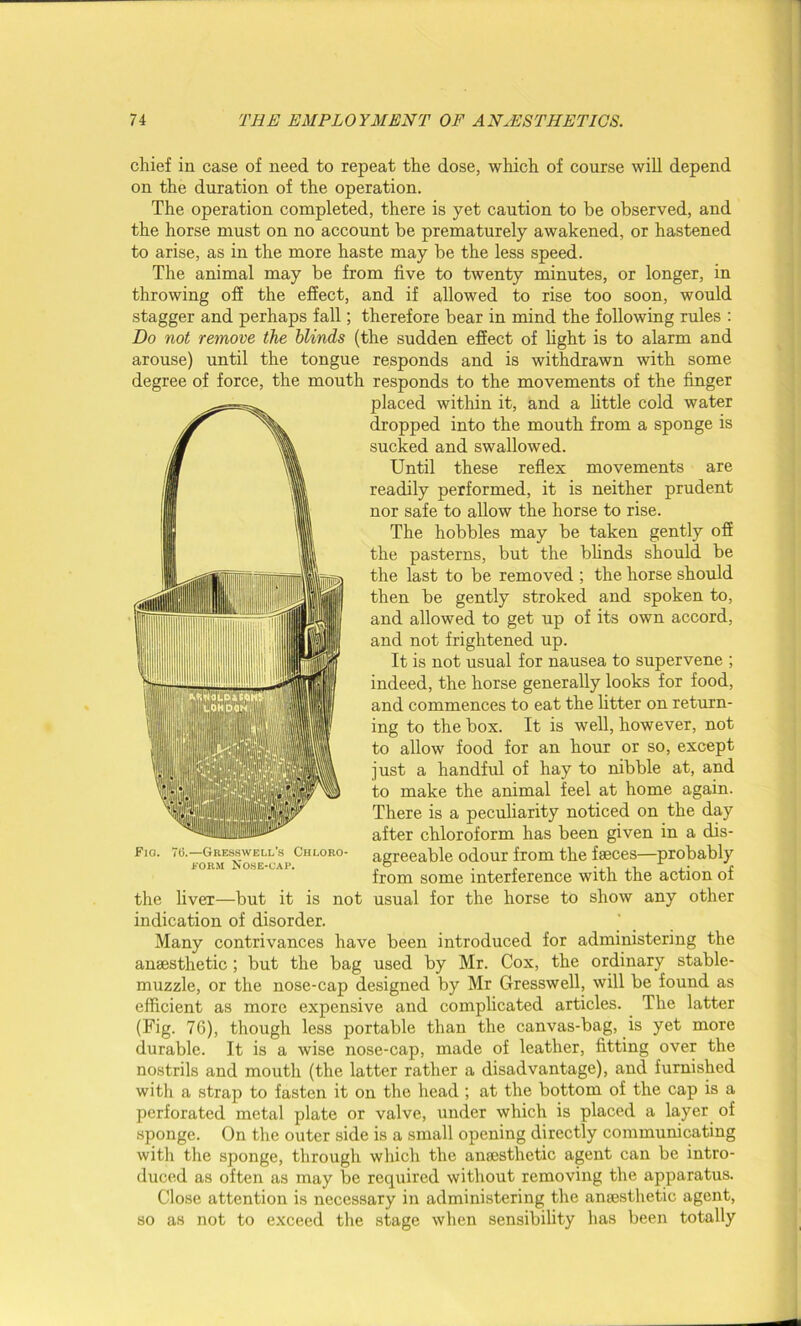 chief in case of need to repeat the dose, which of course will depend on the duration of the operation. The operation completed, there is yet caution to be observed, and the horse must on no account be prematurely awakened, or hastened to arise, as in the more haste may be the less speed. The animal may be from five to twenty minutes, or longer, in throwing off the effect, and if allowed to rise too soon, would stagger and perhaps fall; therefore bear in mind the following rules : Do not remove the blinds (the sudden effect of fight is to alarm and arouse) until the tongue responds and is withdrawn with some degree of force, the mouth responds to the movements of the finger placed within it, and a little cold water dropped into the mouth from a sponge is sucked and swallowed. Until these reflex movements are readily performed, it is neither prudent nor safe to allow the horse to rise. The hobbles may be taken gently off the pasterns, but the blinds should be the last to be removed ; the horse should then be gently stroked and spoken to, and allowed to get up of its own accord, and not frightened up. It is not usual for nausea to supervene ; indeed, the horse generally looks for food, and commences to eat the fitter on return- ing to the box. It is well, however, not to allow food for an hour or so, except just a handful of hay to nibble at, and to make the animal feel at home again. There is a peculiarity noticed on the day after chloroform has been given in a dis- agreeable odour from the faeces—probably from some interference with the action of not usual for the horse to show any other Fia. 76.—Grksswei.l’s Chloro- form Nose-cap. the liver—but it is indication of disorder. Many contrivances have been introduced for administering the anaesthetic; but the bag used by Mr. Cox, the ordinary stable- muzzle, or the nose-cap designed by Mr Gresswell, will be found as efficient as more expensive and complicated articles. The latter (Fig. 76), though less portable than the canvas-bag, is yet more durable. It is a wise nose-cap, made of leather, fitting over the nostrils and mouth (the latter rather a disadvantage), and furnished with a strap to fasten it on the head ; at the bottom of the cap is a perforated metal plate or valve, under which is placed a layer of sponge. On the outer side is a small opening directly communicating with the sponge, through which the anaesthetic agent can be intro- duced as often as may be required without removing the apparatus. Close attention is necessary in administering the anaesthetic agent, so as not to exceed the stage when sensibility has been totally