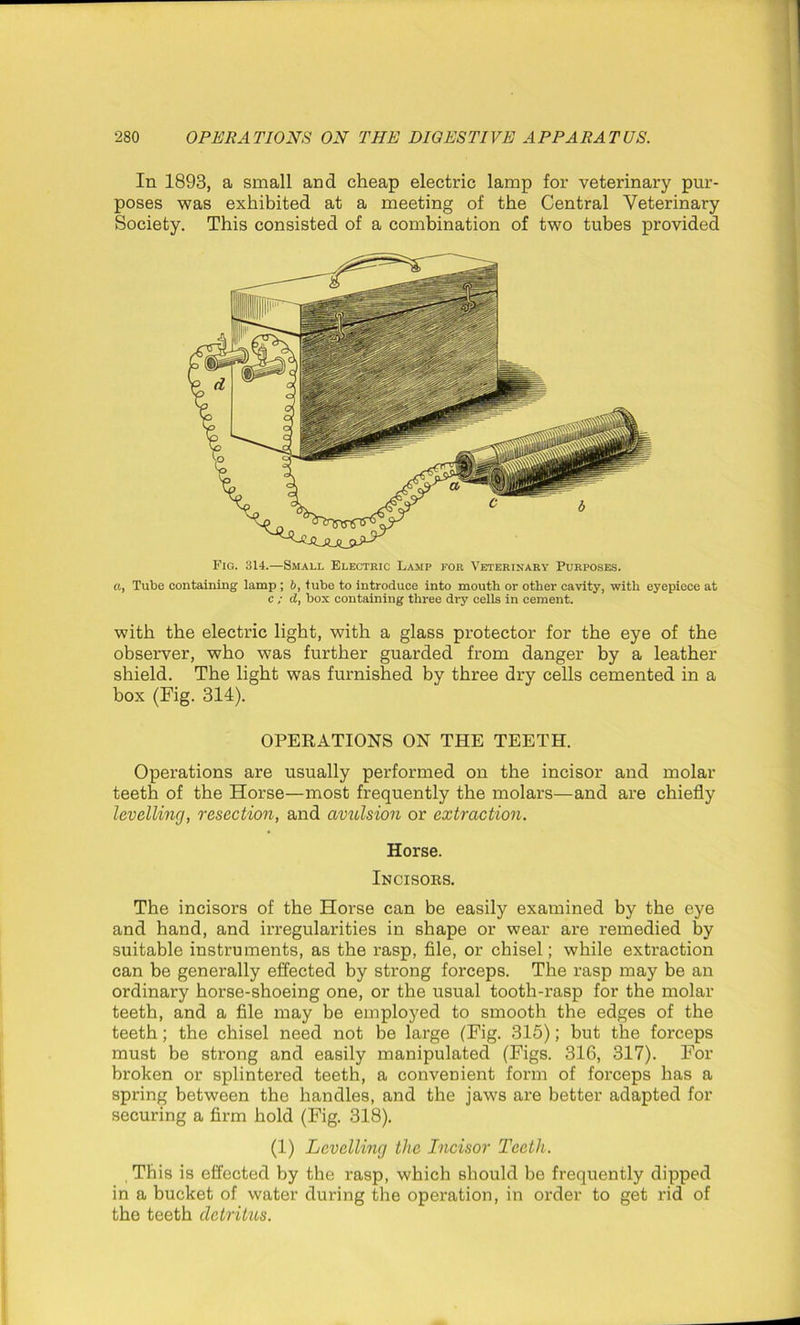 In 1893, a small and cheap electric lamp for veterinary pur- poses was exhibited at a meeting of the Central Veterinary Society. This consisted of a combination of two tubes provided Fig. 314.—Small Electric Lamp for Veterinary Purposes. a, Tube containing lamp ; b, tube to introduce into mouth or other cavity, with eyepiece at c ; d, box containing three dry cells in cement. with the electric light, with a glass protector for the eye of the observer, who was further guarded from danger by a leather shield. The light was furnished by three dry cells cemented in a box (Fig. 314). OPERATIONS ON THE TEETH. Operations are usually performed on the incisor and molar teeth of the Horse—most frequently the molars—and are chiefly levelling, resection, and avulsion or extraction. Horse. Incisors. The incisors of the Horse can be easily examined by the eye and hand, and irregularities in shape or wear are remedied by suitable instruments, as the rasp, file, or chisel; while extraction can be generally effected by strong forceps. The rasp may be an ordinary horse-shoeing one, or the usual tooth-rasp for the molar teeth, and a file may be employed to smooth the edges of the teeth; the chisel need not be large (Fig. 315); but the forceps must be strong and easily manipulated (Figs. 316, 317). For broken or splintered teeth, a convenient form of forceps has a spring between the handles, and the jaws are better adapted for securing a firm hold (Fig. 318). (1) Levelling the Incisor Teeth. This is effected by the rasp, which should be frequently dipped in a bucket of water during the operation, in order to get rid of the teeth detritus.