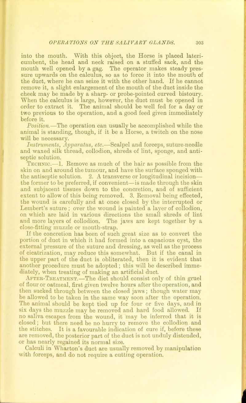 into the mouth. With this object, the Horse is placed lateri- cumbent, the head and neck raised on a stuffed sack, and the mouth well opened by a gag. The operator makes steady pres- sure upwards on the calculus, so as to force it into the mouth of the duct, where he can seize it with the other hand. If he cannot remove it, a slight enlargement of the mouth of the duct inside the cheek may be made by a sharp- or probe-pointed curved bistoury. When the calculus is large, however, the duct must be opened in order to extract it. The animal should be well fed for a day or two previous to the operation, and a good feed given immediately before it. Position.—The operation can usually be accomplished while the animal is standing, though, if it be a Horse, a twitch on the nose will be necessary. , Instruments, Apparatus, etc.—Scalpel and forceps, suture-needle and waxed silk thread, collodion, shreds of lint, sponge, and anti- septic solution. Technic.—1. Remove as much of the hair as possible from the skin on and around the tumour, and have the surface sponged with the antiseptic solution. 2. A transverse or longitudinal incision— the former to be preferred, if convenient—is made through the skin and subjacent tissues down to the concretion, and of sufficient extent to allow of this being removed. 3. Removal being effected, the wound is carefully and at once closed by the interrupted or Lembert’s suture; over the wound is painted a layer of collodion, on which are laid in various directions the small shreds of lint and more layers of collodion. The jaws are kept together by a close-fitting muzzle or mouth-strap. If the concretion has been of such great size as to convert the portion of duct in which it had formed into a capacious cyst, the external pressure of the suture and dressing, as well as the process of cicatrization, may reduce this somewhat. But if the canal in the upper part of the duct is obliterated, then it is evident that another procedure must be adopted; this will be described imme- diately, when treating of making an artificial duct. After-Treatment.—The diet should consist only of thin gruel of flour or oatmeal, first given twelve hours after the operation, and then sucked through between the closed jaws; though water may be allowed to be taken in the same way soon after the operation. The animal should be kept tied up for four or five days, and in six days the muzzle may be removed and hard food allowed. If no saliva escapes from the wound, it may be inferred that it is closed; but there need be no hurry to remove the collodion and the stitches. It is a favourable indication of cure if, before these are removed, the posterior part of the duct is not unduly distended, or has nearly regained its normal size. Calculi in Wharton’s duct are usually removed by manipulation with forceps, and do not require a cutting operation.