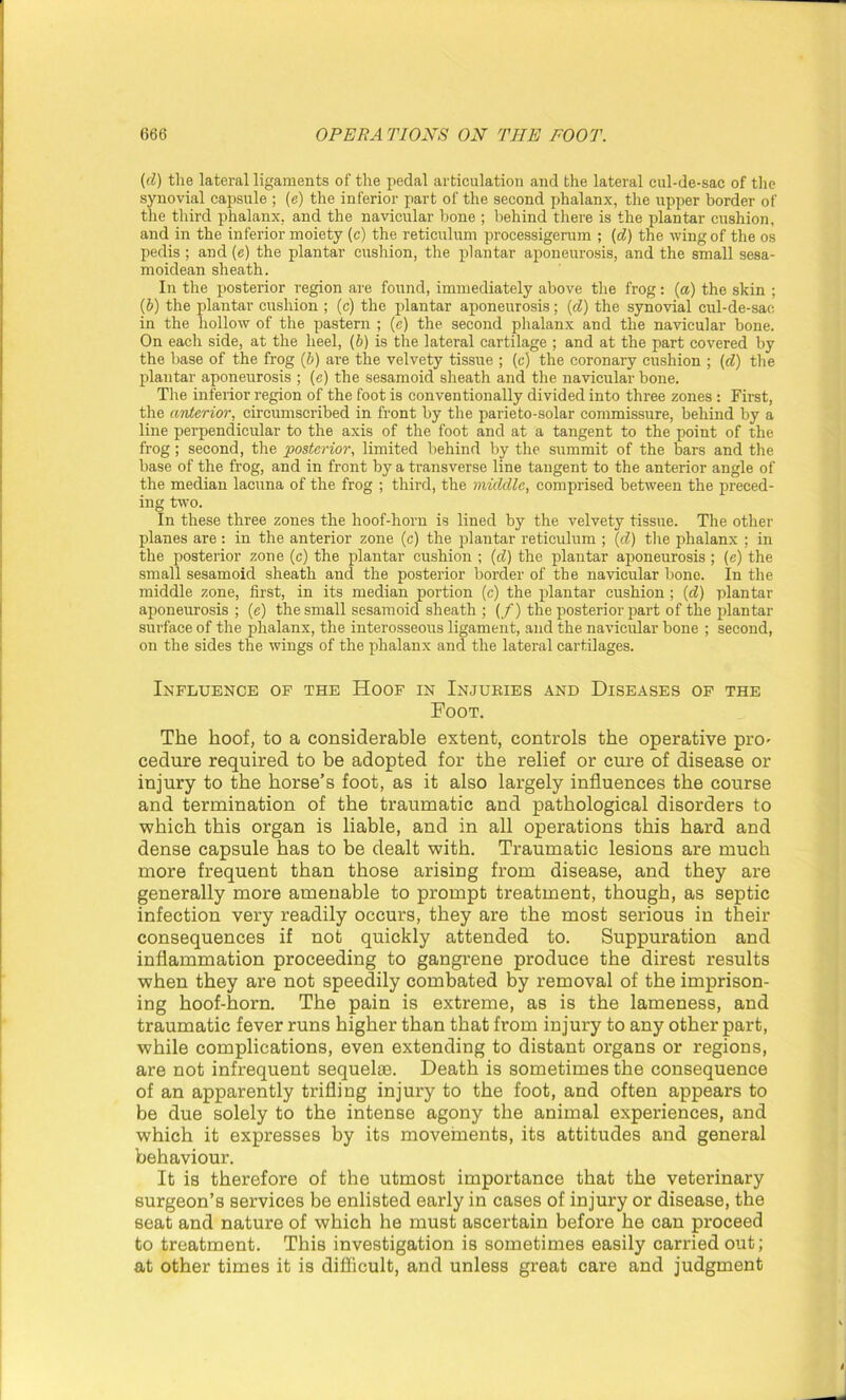 (cl) the lateral ligaments of the pedal articulation and the lateral cul-de-sac of the synovial capsule ; (e) the inferior part of the second phalanx, the upper border of the third phalanx, and the navicular hone ; behind there is the plantar cushion, and in the inferior moiety (c) the reticulum processigerum ; (cl) the wing of the os pedis ; and (e) the plantar cushion, the plantar aponeurosis, and the small sesa- moidean sheath. In the posterior region are found, immediately above the frog: (a) the skin ; (b) the plantar cushion ; (c) the plantar aponeurosis; (d) the synovial cul-de-sac in the hollow of the pastern ; (e) the second phalanx and the navicular bone. On each side, at the heel, (b) is the lateral cartilage ; and at the part covered by the base of the frog (b) are the velvety tissue ; (c) the coronary cushion ; (d) the plantar aponeurosis ; (c) the sesamoid sheath and the navicular bone. The inferior region of the foot is conventionally divided into three zones : First, the anterior, circumscribed in front by the parieto-solar commissure, behind by a line perpendicular to the axis of the foot and at a tangent to the point of the frog; second, the posterior, limited behind by the summit of the bars and the base of the frog, and in front by a transverse line tangent to the anterior angle of the median lacuna of the frog ; third, the middle, comprised between the preced- ing two. In these three zones the hoof-horn is lined by the velvety tissue. The other planes are : in the anterior zone (c) the plantar reticulum ; (d) the phalanx ; in the posterior zone (c) the plantar cushion ; (cl) the plantar aponeurosis ; (e) the small sesamoid sheath and the posterior border of the navicular bone. In the middle zone, first, in its median portion (c) the plantar cushion ; (d) plantar aponeurosis ; (e) the small sesamoid sheath ; ( f) the posterior part of the plantar surface of the phalanx, the interosseous ligament, and the navicular bone ; second, on the sides the wings of the phalanx and the lateral cartilages. Influence of the Hoof in Injuries and Diseases of the Foot. The hoof, to a considerable extent, controls the operative pro- cedure required to be adopted for the relief or cure of disease or injury to the horse’s foot, as it also largely influences the course and termination of the traumatic and pathological disorders to which this organ is liable, and in all operations this hard and dense capsule has to be dealt with. Traumatic lesions are much more frequent than those arising from disease, and they are generally more amenable to prompt treatment, though, as septic infection very readily occurs, they are the most serious in their consequences if not quickly attended to. Suppuration and inflammation proceeding to gangrene produce the direst results when they are not speedily combated by removal of the imprison- ing hoof-horn. The pain is extreme, as is the lameness, and traumatic fever runs higher than that from injury to any other part, while complications, even extending to distant organs or regions, are not infrequent sequel®. Death is sometimes the consequence of an apparently trifling injury to the foot, and often appears to be due solely to the intense agony the animal experiences, and which it expresses by its movements, its attitudes and general behaviour. It is therefore of the utmost importance that the veterinary surgeon’s services be enlisted early in cases of injury or disease, the seat and nature of which he must ascertain before he can proceed to treatment. This investigation is sometimes easily carried out; at other times it is difficult, and unless great care and judgment