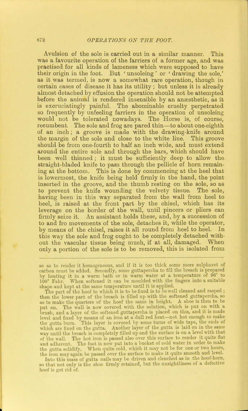 Avulsion of the sole is carried out in a similar manner. This was a favourite operation of the farriers of a former age, and was practised for all kinds of lameness which were supposed to have their origin in the foot. But ‘ unsoleing ’ or ‘ drawing the sole,’ as it was termed, is now a somewhat rare operation, though in certain cases of disease it has its utility ; but unless it is already almost detached by effusion the operation should not be attempted before the animal is rendered insensible by an anaesthetic, as it is excruciatingly painful. The abominable cruelty perpetrated so frequently by unfeeling farriers in the operation of unsoleing would not be tolerated nowadays. The Horse is, of course, recumbent. The sole and frog are pared thin—to about one-eighth of an inch; a groove is made with the drawing-knife around the margin of the sole and close to the white line. This groove should be from one-fourth to half an inch wide, and must extend around the entire sole and through the bars, which should have been well thinned ; it must be sufficiently deep to allow the straight-bladed knife to pass through the pellicle of horn remain- ing at the bottom. This is done by commencing at the heel that is lowermost, the knife being held firmly in the hand, the point inserted in the groove, and the thumb resting on the sole, so as to prevent the knife wounding the velvety tissue. The sole, having been in this way separated from the wall from heel to heel, is raised at the front part by the chisel, which has its leverage on the border of the wall, until pincers or pliers can firmly seize it. An assistant holds these, and, by a succession of to and fro movements of the sole, detaches it, while the operator, by means of the chisel, raises it all round from heel to heel. In this way the sole and frog ought to be completely detached with- out the vascular tissue being much, if at all, damaged. When only a portion of the sole is to be removed, this is isolated from so as to render it homogeneous, and if it is too thick some more sulphuret of carbon must lie added. Secondly, some guttapercha to fill the breach is prepared by heating it in a warm bath or in warm water at a temperature of 96° to 100° Fahr. When softened it can be moulded with the fingers into a suitable shape and kept at the same temperature until it is applied. The part of the hoof to which it is to be fixed is to be well cleaned and rasped ; then the lower part of the breach is filled up with the softened guttapercha, so as to make the quarters of the hoof the same in height. A shoe is then to be put on. The wall is now covered with the solution, which is put on with a brush, and a layer of the softened guttapercha is placed on this, and it is made level and fixed by means of an iron at a dull red heat—not hot enough to make the gutta burn. This layer is covered by some turns of wide tape, the ends of which are fixed on the gutta. Another layer ot the gutta is laid on in the same way until the breach is completely filled up and the surface is on a level with that of the wall. The hot iron is passed also over this surface to render it quite flat and adherent. The foot is now put into a bucket of cold water in order to make the gutta solidify. When quite cold, which it may not be for one or two hours, the iron may again be passed over the surface to make it quite smooth and level. Into this mass of gutta nails may be driven and clenched as in the hoof-horn, so that not only is the shoe firmly retained, but the unsightliness of a defective hoof is got rid of.