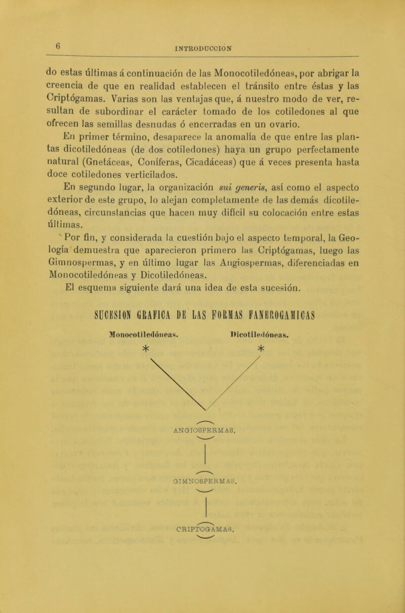 INTRODUCCION do estas últimas á continuación de las Monocotiledóneas, por abrigar la creencia de que en realidad establecen el tránsito entre éstas y las Oriptógamas. Varias son las ventajas que, á nuestro modo de ver, re- sultan de subordinar el carácter tomado de los cotiledones al que ofrecen las semillas desnudas ó encerradas en un ovario. En primer término, desaparece la anomalía de que entre las plan- tas dicotiledóneas (de dos cotiledones) haya un grupo perfectamente natural (Gnetáceas, Coniferas, Cicadáceas) que á veces presenta hasta doce cotiledones verticilados. En segundo lugar, la organización sui generis, así como el aspecto exterior de este grupo, lo alejan completamente de las demás dicotile- dóneas, circunstancias que hacen muy difícil su colocación entre estas últimas. Por fin, y considerada la cuestión bajo el aspecto temporal, la Geo- logía demuestra que aparecieron primero las Criptógamas, luego las Gimnospermas, y en último lugar las Angiospermas, diferenciadas en Monocotiledóneas y Dicotiledóneas. El esquema siguiente dará una idea de esta sucesión. SUCESION GRAFICA DE LAS FORMAS FANEROGAMICAS Monocotiledóneas. Dicotiledóneas. * * GIMNOSPERMAS. CRIPTOGAMAS.