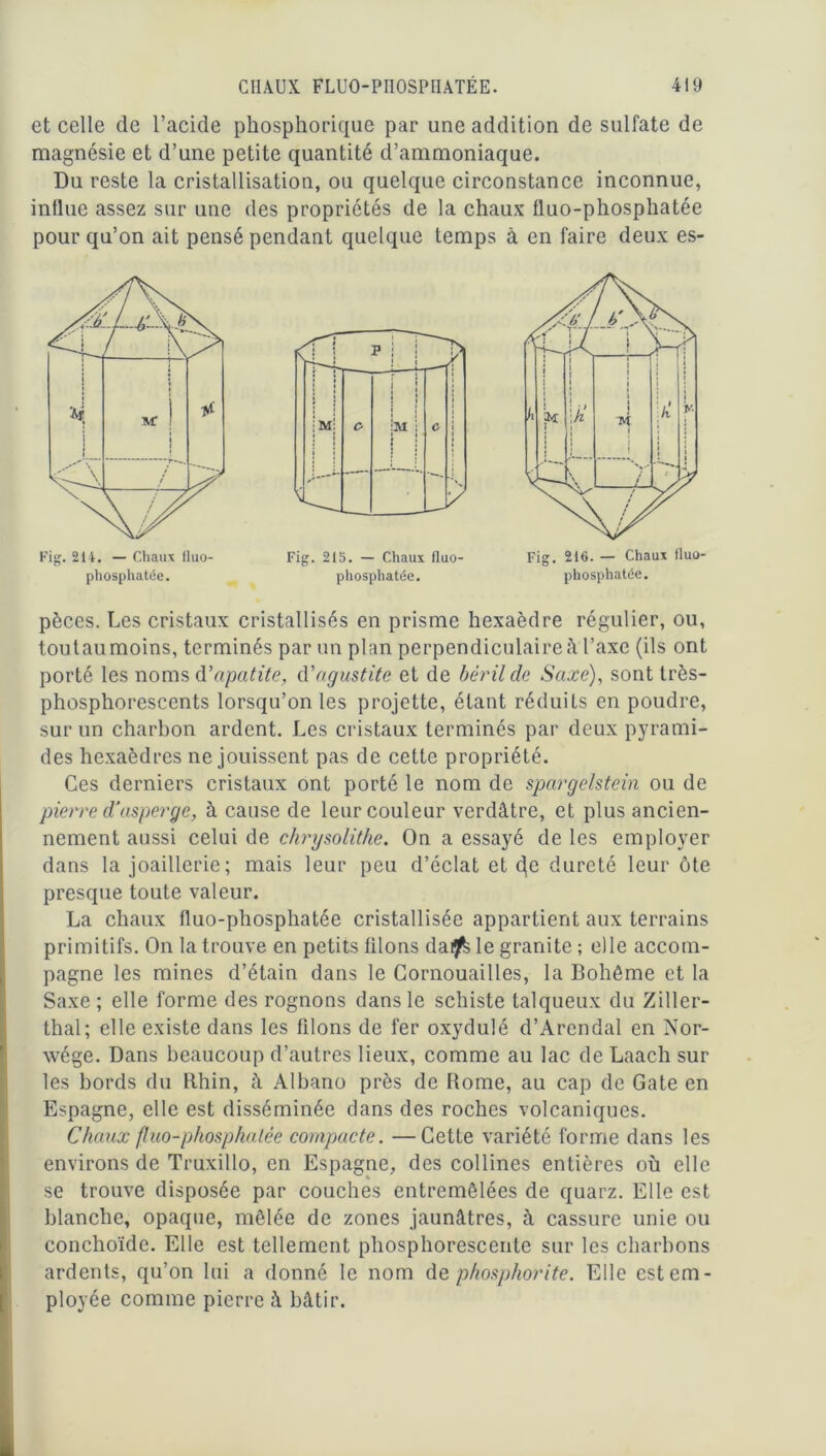 et celle de l’acide phosphorique par une addition de sulfate de magnésie et d’une petite quantité d’ammoniaque. Du reste la cristallisation, ou quelque circonstance inconnue, intlue assez sur une des propriétés de la chaux fluo-phosphatée pour qu’on ait pensé pendant quelque temps à en faire deux es- Fig. 215. — Chaux fluo- phosphatée. pèces. Les cristaux cristallisés en prisme hexaèdre régulier, ou, toutaumoins, terminés par un plan perpendiculaire à l’axe (ils ont porté les noms d’apatite, d’agustite et de bêrilde Saxe), sont très- phosphorescents lorsqu’on les projette, étant réduits en poudre, sur un charbon ardent. Les cristaux terminés par deux pyrami- des hexaèdres ne jouissent pas de cette propriété. Ces derniers cristaux ont porté le nom de spargèlstein ou de pierre d'asperge, à cause de leur couleur verdâtre, et plus ancien- nement aussi celui de chrysolithe. On a essayé de les employer dans la joaillerie; mais leur peu d’éclat et c(c dureté leur ôte presque toute valeur. La chaux fluo-phosphatée cristallisée appartient aux terrains primitifs. On la trouve en petits liions dai^ le granité ; elle accom- pagne les mines d’étain dans le Cornouailles, la Bohême et la Saxe ; elle forme des rognons dans le schiste talqueux du Ziller- thal; elle existe dans les filons de fer oxydulé d’Arendal en Nor- wége. Dans beaucoup d’autres lieux, comme au lac de Laach sur les bords du Rhin, à Albano près de Rome, au cap de Gâte en Espagne, elle est disséminée dans des roches volcaniques. Chaux fluo-phosphatée compacte. —Cette variété forme dans les environs de Truxillo, en Espagne, des collines entières où elle se trouve disposée par couches entremêlées de quarz. Elle est blanche, opaque, mêlée de zones jaunâtres, à cassure unie ou conchoïdc. Elle est tellement phosphorescente sur les charbons ardents, qu’on lui a donné le nom de phosphorite. Elle est em- ployée comme pierre à bâtir.