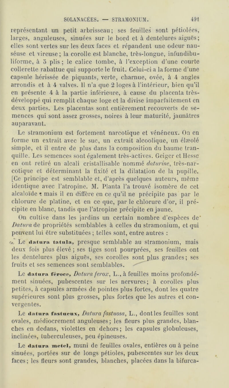 représentant un petit arbrisseau; ses feuilles sont pétiolées, larges, anguleuses, sinuées sur le bord et à dentelures aiguës ; elles sont vertes sur les deux faces et répandent une odeur nau- séuse et vircuse ; la corolle est blanche, très-longue, infundibu- liforme, à o plis ; le calice tombe, à l’exception d’une courte collerette rabattue qui supporte le fruit. Celui-ci a la forme d’une capsule hérissée de piquants, verte, charnue, ovée, à 4 angles arrondis et à 4 valves. 11 n’a que 2 loges à l’intérieur, bien qu’il en présente 4 à la partie inférieure, à cause du placenta très- développé qui remplit chaque loge et la divise imparfaitement en deux parties. Les placentas sont entièrement recouverts de se- mences qui sont assez grosses, noires à leur maturité, jaunâtres auparavant. Le stramonium est fortement narcotique et vénéneux. On en forme un extrait avec le suc, un extrait alcoolique, un élæolé simple, et il entre de plus dans la composilion du baume tran- quille. Les semences sont également très-actives. Geiger et Hesse en ont retiré un alcali cristal 1 isable nommé daturine, très-nar- cotique et déterminant la fixité et la dilatation de la pupille. [Ce principe est semblable et, d’après quelques auteurs, môme identique avec l’atropine. M. Planta l’a trouvé isomère de cet alcaloïde * mais il en d-iffère en ce qu’il ne précipite pas par le chlorure de platine, et en ce que, par le chlorure d’or, il pré- cipite en blanc, tandis que l’atropine précipite en jaune. On cultive dans les jardins un certain nombre d’espèces de' Datura de propriétés semblables à celles du stramonium, et qui peuvent lui être substituées ; telles sont, entre autres : /k Le datura tatula, presque semblable au stramonium, mais deux fois plus élevé ; ses liges sont pourprées, ses feuilles ont les dentelures plus aiguës, ses corolles sont plus grandes; ses fruits et ses semences sont semblables. Le datura féroce, Datura ferox, L.,à feuilles moins profondé- ment sinuées, pubescentes sur les nervures; à corolles plus petites, à capsules armées de pointes plus fortes, dont les quatre supérieures sont plus grosses, plus fortes que les autres et con- vergentes. Le datura fastueux, Datura fastuosa, L., dontles feuilles sont ovales, médiocrement anguleuses; les fleurs plus grandes, blan- ches en dedans, violettes en dehors; les capsules globuleuses, inclinées, tuberculeuses, peu épineuses. Le datura met cl, muni de feuilles ovales, entières ou à peine sinuées, portées sur de longs pétioles, pubescentes sur les deux faces; les fleurs sont grandes, blanches, placées dans la bifurca-