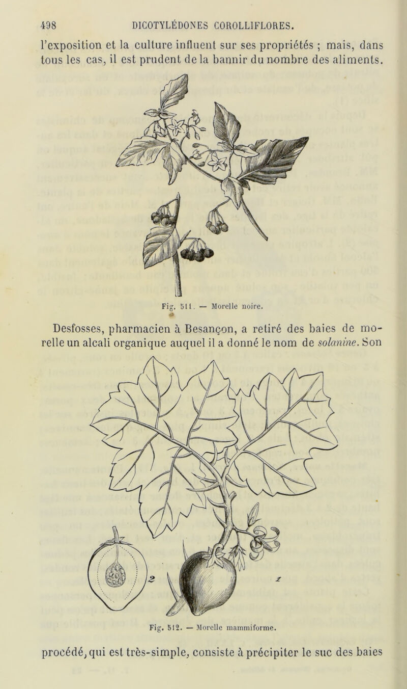 l’exposition et la culture influent sur ses propriétés ; mais, dans tous les cas, il est prudent de la bannir du nombre des aliments. Desfosses, pharmacien à Besançon, a retiré des baies de mo- relle un alcali organique auquel il a donné le nom de solanine. Son Fig. 512. — Morelle mammiforme. procédé; qui est très-simple, consiste à précipiter le suc des baies