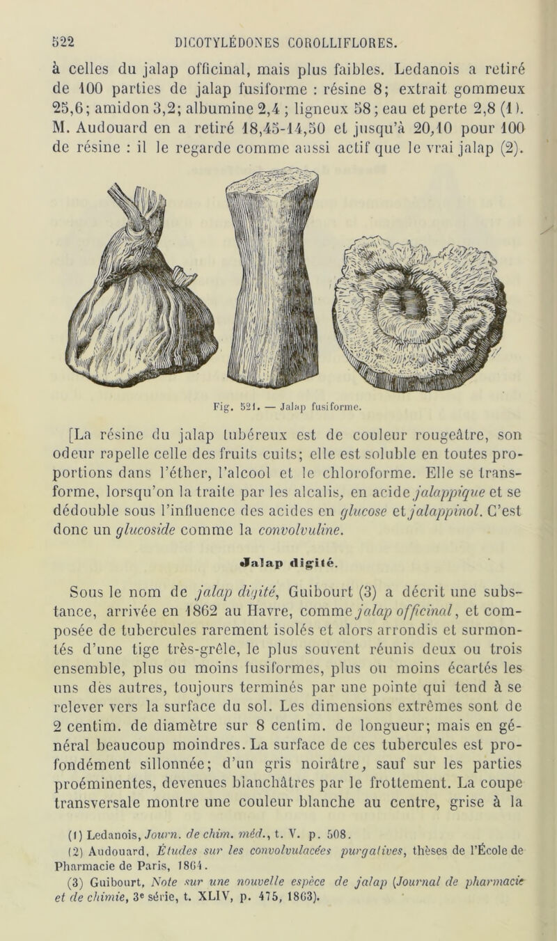 à celles du jalap officinal, mais plus faibles. Ledanois a retiré de 100 parties de jalap fusiforme : résine 8; extrait gommeux 25,6; amidon 3,2; albumine 2,4 ; ligneux 58 ; eau et perte 2,8 (1 ). M. Audouard en a retiré 18,45-14,50 et jusqu’à 20,10 pour 100 de résine : il le regarde comme aussi actif que le vrai jalap (2). Fig. 521. — Jalap fusiforme. [La résine du jalap lubéreux est de couleur rougeâtre, son odeur rapelle celle des fruits cuits; elle est soluble en toutes pro- portions dans l’éther, l’alcool et le chloroforme. Elle se trans- forme, lorsqu’on la traite par les alcalis, en acide jalappique et se dédouble sous l’influence des acides en glucose et jalappinol. C’est donc un glucoside comme la convolvuline. •falap (limité. Sous le nom de jalcip digité, Guibourt (3) a décrit une subs- tance, arrivée en 1862 au Havre, comme jalap officinal, et com- posée de tubercules rarement isolés et alors arrondis et surmon- tés d’une tige très-grêle, le plus souvent réunis deux ou trois ensemble, plus ou moins fusiformes, plus ou moins écartés les uns dès autres, toujours terminés par une pointe qui tend à se relever vers la surface du sol. Les dimensions extrêmes sont de 2 centim. de diamètre sur 8 centim. de longueur; mais en gé- néral beaucoup moindres. La surface de ces tubercules est pro- fondément sillonnée; d’un gris noirâtre, sauf sur les parties proéminentes, devenues blanchâtres par le frottement. La coupe transversale montre une couleur blanche au centre, grise à la (1) Ledanois, Journ. de chim. mèd., t. V. p. 508. (2) Audouard, Études sur les convolvulacées purgatives, thèses de l’École de Pharmacie de Paris, 1804. (3) Guibourt, Note sur une nouvelle espèce de jalap (Journal de pharmacie et de chimie, 3e série, t. XLIV, p. 475, 1803).