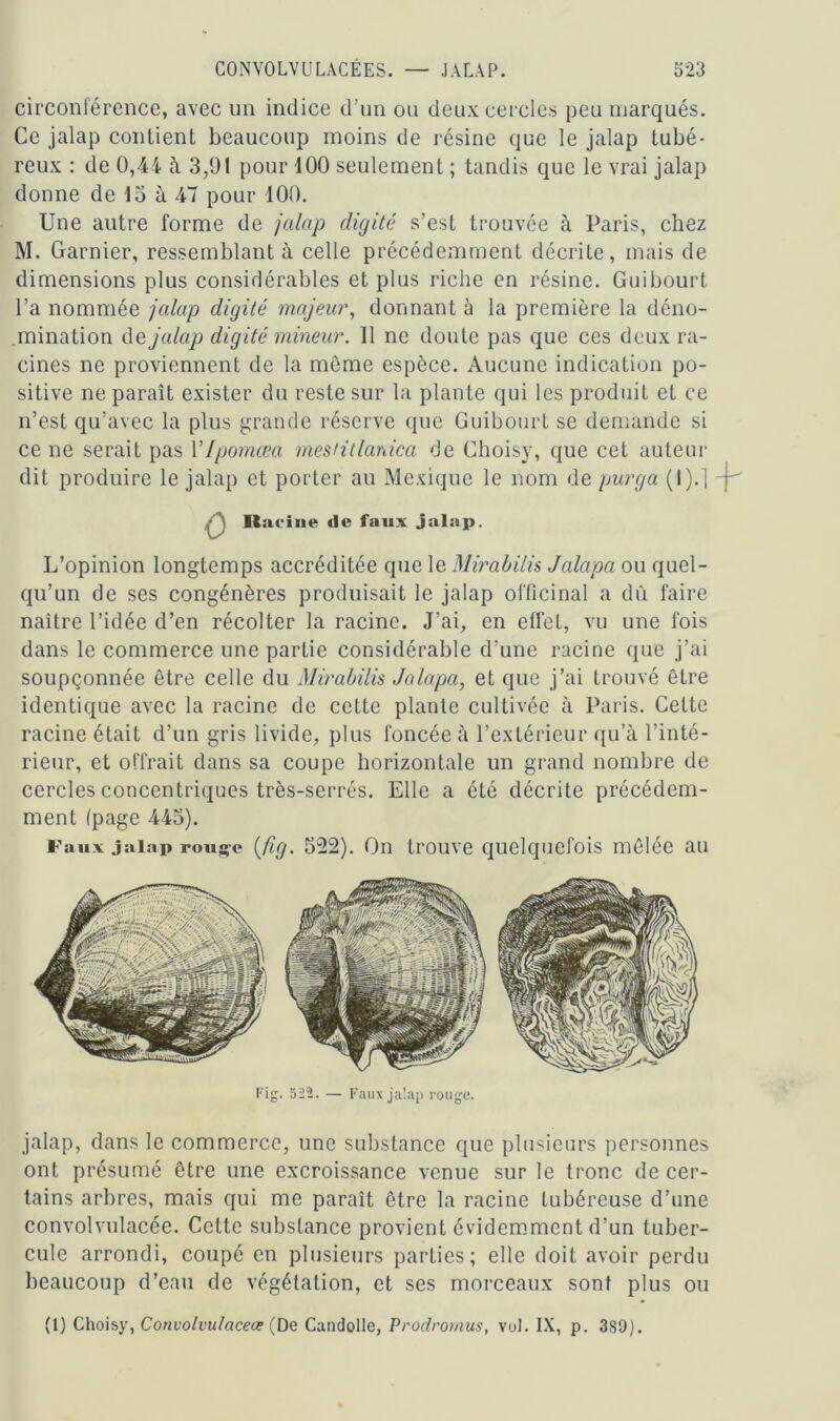 circonférence, avec un indice d'un ou deux cercles peu marqués. Ce jalap contient beaucoup moins de résine que le jalap tubé- reux : de 0,44 à 3,91 pour 400 seulement ; tandis que le vrai jalap donne de 13 à 47 pour 100. Une autre forme de jalap digité s’est trouvée à Paris, chez M. Garnier, ressemblant à celle précédemment décriLe, mais de dimensions plus considérables et plus riche en résine. Guibourt l’a nommée jalap digité majeur, donnant à la première la déno- mination de jalap digité mineur. 11 ne doute pas que ces deux ra- cines ne proviennent de la même espèce. Aucune indication po- sitive ne paraît exister du reste sur la plante qui les produit et ce n’est qu’avec la plus grande réserve que Guibourt se demande si ce ne serait pas VIpomœa mestitlanica de Choisy, que cet auteur dit produire le jalap et porter au Mexique le nom de purga (l).j ~f Racine <le faux jalap. L’opinion longtemps accréditée que le Mirabilis Jalapa ou quel- qu’un de ses congénères produisait le jalap officinal a dù faire naître l’idée d’en récolter la racine. J’ai, en effet, vu une fois dans le commerce une partie considérable d’une racine que j’ai soupçonnée être celle du Mirabilis Jalapa, et que j’ai trouvé être identique avec la racine de cette plante cultivée à Paris. Cette racine était d’un gris livide, plus foncée à l’extérieur qu’à l’inté- rieur, et offrait dans sa coupe horizontale un grand nombre de cercles concentriques très-serrés. Elle a été décrite précédem- ment (page 443). Faux jalap rouge (fig. 522). On trouve quelquefois mêlée au Fig. 522. — Faux jalap rouge. jalap, dans le commerce, une substance que plusieurs personnes ont présumé être une excroissance venue sur le tronc de cer- tains arbres, mais qui me paraît être la racine tubéreuse d’une convolvulacée. Cette substance provient évidemment d’un tuber- cule arrondi, coupé en plusieurs parties; elle doit avoir perdu beaucoup d’eau de végétation, et ses morceaux sont plus ou (1) Choisy, Convolvu/acete (De Candolle, Prodromus, vol. IX, p. 389).