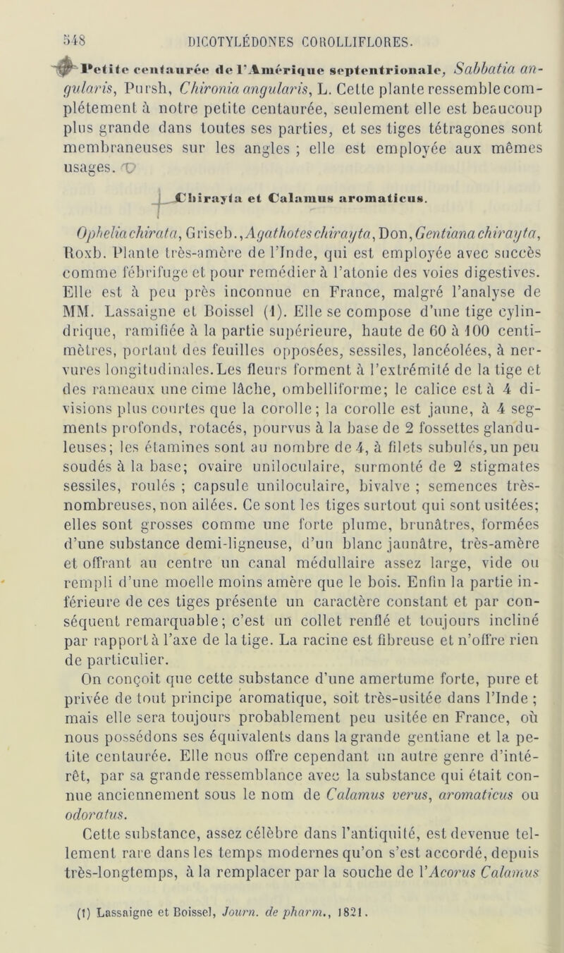 jr' l*etitc centaurée «le l’Amérique septentrionale, Scibbütlü Clïl- gularis, Pursh, Chironia angularis, L. Cette plante ressemble com- plètement à notre petite centaurée, seulement elle est beaucoup plus grande dans toutes ses parties, et ses tiges tétragones sont membraneuses sur les angles ; elle est employée aux mêmes usages. 'V Cliirajla et Calamus aromaticus. Opheliachirata, Griseb. ,Agat hôtes chiray ta, Don, Gentiana chirayta, Roxb. Plante très-amère de l’Inde, qui est employée avec succès comme fébrifuge et pour remédier à l’atonie des voies digestives. Elle est à peu près inconnue en France, malgré l’analyse de MM. Lassaigne et Boissel (1). Elle se compose d’une tige cylin- drique, ramifiée à la partie supérieure, haute de 60 à 100 centi- mètres, portant des feuilles opposées, sessiles, lancéolées, à ner- vures longitudinales.Les fleurs forment à l’extrémité de la tige et des rameaux une cime lâche, ombelliforme; le calice est à 4 di- visions plus courtes que la corolle; la corolle est jaune, à 4 seg- ments profonds, rotacés, pourvus à la base de 2 fossettes glandu- leuses; les étamines sont au nombre de 4, à filets subulés, un peu soudés à la base; ovaire uniloculaire, surmonté de 2 stigmates sessiles, roulés ; capsule uniloculaire, bivalve ; semences très- nombreuses, non ailées. Ce sont les tiges surtout qui sont usitées; elles sont grosses comme une forte plume, brunâtres, formées d’une substance demi-ligneuse, d’un blanc jaunâtre, très-amère et offrant au centre un canal médullaire assez large, vide ou rempli d’une moelle moins amère que le bois. Enfin la partie in- férieure de ces tiges présente un caractère constant et par con- séquent remarquable ; c’est un collet renflé et toujours incliné par rapporté l’axe de la tige. La racine est fibreuse et n’offre rien de particulier. On conçoit que cette substance d’une amertume forte, pure et privée de tout principe aromatique, soit très-usitée dans l’Inde ; mais elle sera toujours probablement peu usitée en France, où nous possédons ses équivalents dans la grande gentiane et la pe- tite centaurée. Elle nous offre cependant un autre genre d’inté- rêt, par sa grande ressemblance avec la substance qui était con- nue anciennement sous le nom de Calamus verus, aromaticus ou odoratus. Cette substance, assez célèbre dans l’antiquité, est devenue tel- lement rare dans les temps modernes qu’on s’est accordé, depuis très-longtemps, à la remplacer par la souche de YAcorus Calamus (t) Lassaigne et Boissel, Journ. de pharm., 1821.