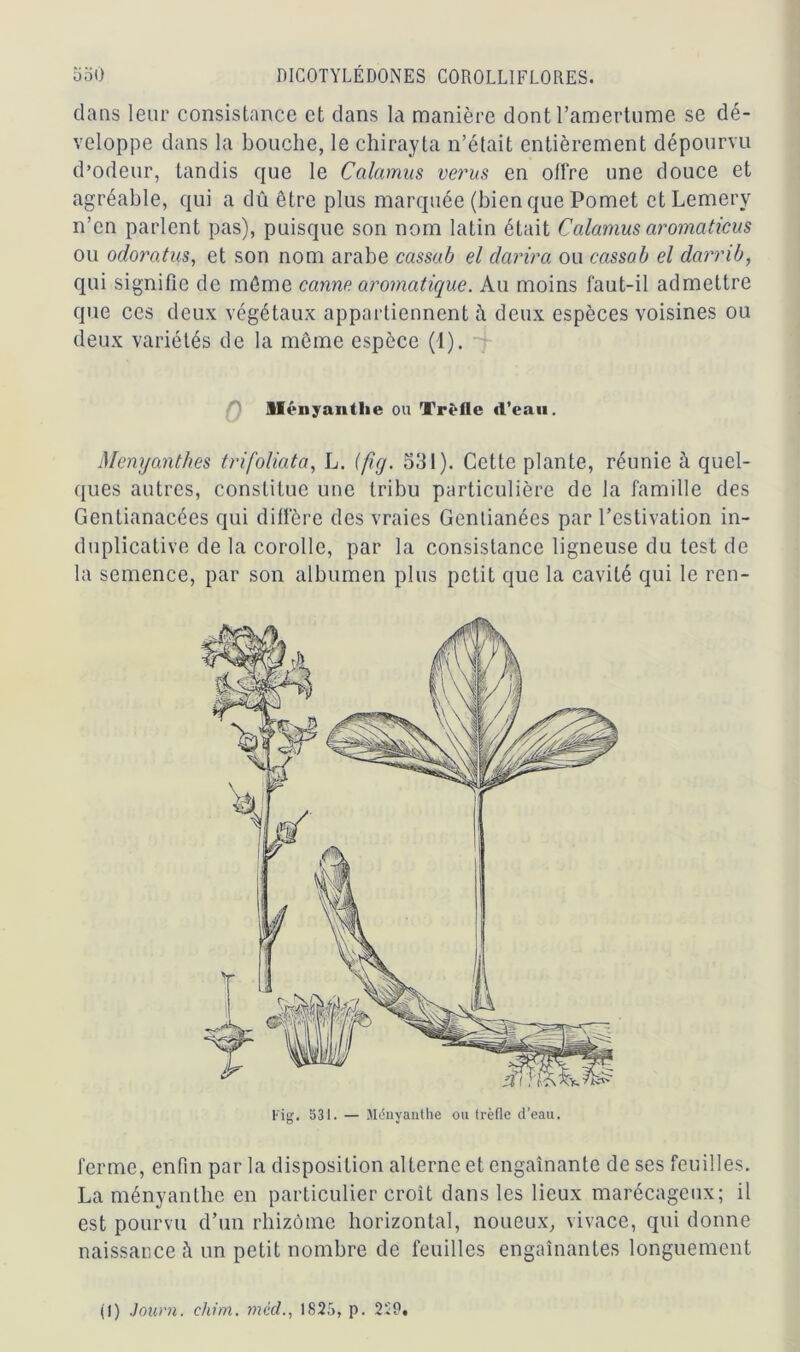 dans leur consistance et dans la manière dont l’amertume se dé- veloppe dans la bouche, le chirayta n’était entièrement dépourvu d’odeur, tandis que le Calcimus verus en offre une douce et agréable, qui a dû être plus marquée (bien que Pomet et Lemery n’en parlent pas), puisque son nom latin était Calamus aromaticus ou odorotus, et son nom arabe cassab el darira ou cassab el darrib, qui signifie de même canne aromatique. Au moins faut-il admettre que ces deux végétaux appartiennent à deux espèces voisines ou deux variétés de la même espèce (I). Ményanthe ou Trèfle «l’eau. Mcnyanthes trifoliata, L. (fîg. 531). Cette plante, réunie à quel- ques autres, constitue une tribu particulière de la famille des Gentianacées qui diffère des vraies Gentianées par l’estivation in- duplicative de la corolle, par la consistance ligneuse du test de la semence, par son albumen plus petit que la cavité qui le ren- Fig. 531. — Ményanthe ou trèfle d’eau. ferme, enfin par la disposition alterne et engainante de ses feuilles. La ményanthe en particulier croît dans les lieux marécageux; il est pourvu d’un rhizome horizontal, noueux, vivace, qui donne naissance à un petit nombre de feuilles engainantes longuement (1) Journ. chim. mcd., 1825, p. 229,
