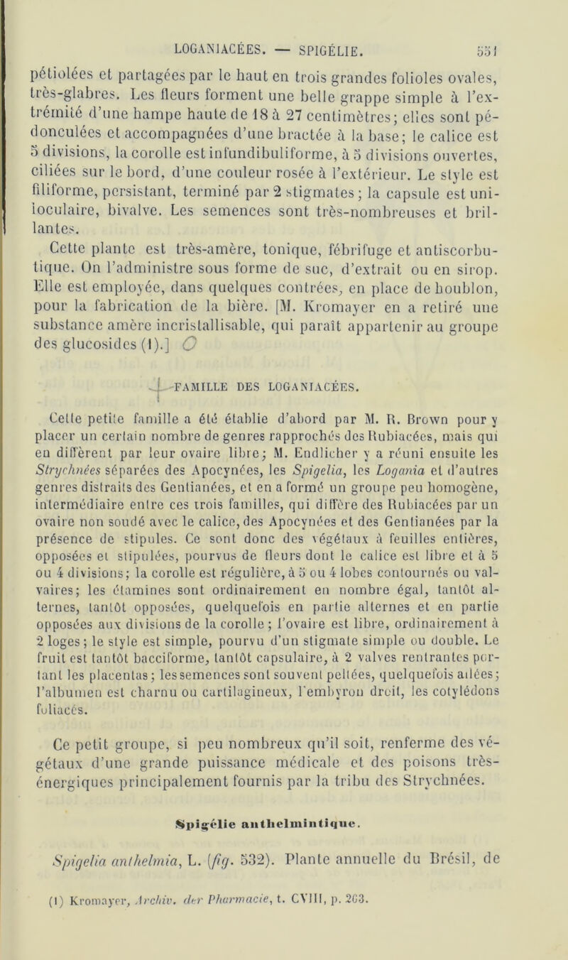 L0GAN1ACÉES. — SPIGÉL1E. bol pétiolées et partagées par le haut en trois grandes folioles ovales, très-glabres. Les fleurs forment une belle grappe simple à l’ex- trémité d’une hampe haute de 18 à 27 centimètres; elles sont pé- donculées et accompagnées d’une bractée à la base; le calice est 5 divisions, la corolle est infundibuliforme, à 5 divisions ouvertes, ciliées sur le bord, d’une couleur rosée à l’extérieur. Le style est filiforme, persistant, terminé par 2 stigmates ; la capsule est uni- loculaire, bivalve. Les semences sont très-nombreuses et bril- lantes. Cette plante est très-amère, tonique, fébrifuge et antiscorbu- tique. On l’administre sous forme de suc, d’extrait ou en sirop. Elle est employée, dans quelques contrées, en place de houblon, pour la fabrication de la bière. [M. Kromayer en a retiré une substance amère incristallisable, qui paraît appartenir au groupe des glucosidcs (1).] G 4 FAMILLE DES LOGANIACÉES. Cette petite famille a été établie d’abord par M. R. Brown pour y placer un certain nombre de genres rapprochés des Rubiacées, mais qui en diffèrent par leur ovaire libre; M. Endlicher y a réuni ensuite les Stryrhnées séparées des Apocynées, les Spigelia, les Logania et d’autres genres distraits des Gentianées, et en a formé un groupe peu homogène, intermédiaire entre ces irois familles, qui diffère des Rubiacées par un ovaire non soudé avec le calice, des Apocynées et des Gentianées par la présence de stipules. Ce sont donc des végétaux à feuilles entières, opposées ei stipulées, pourvus de fleurs dont le calice est libre et à 5 ou 4 divisions; la corolle est régulière, à 5 ou 4 lobes contournés ou val- vaires; les étamines sont ordinairement en nombre égal, tantôt al- ternes, tantôt opposées, quelquefois en partie alternes et en partie opposées aux divisions de la corolle ; l’ovaire est libre, ordinairement à 2 loges ; le style est simple, pourvu d’un stigmate simple ou double. Le fruit est tantôt bacciforme, tantôt capsulaire, à 2 valves rentrantes por- tant les placentas ; les semences sont souvent pellées, quelquefois ailées; l’albumen est charnu ou cartilagineux, fembyron droit, les cotylédons foliacés. Ce petit groupe, si peu nombreux qu’il soit, renferme des vé- gétaux d’une grande puissance médicale et des poisons très- énergiques principalement fournis par la tribu des Strychnées. Spiiçélie ai»tlielmiiitique. Spigelia arUhelmia, L. [fig. 532). Plante annuelle du Brésil, de