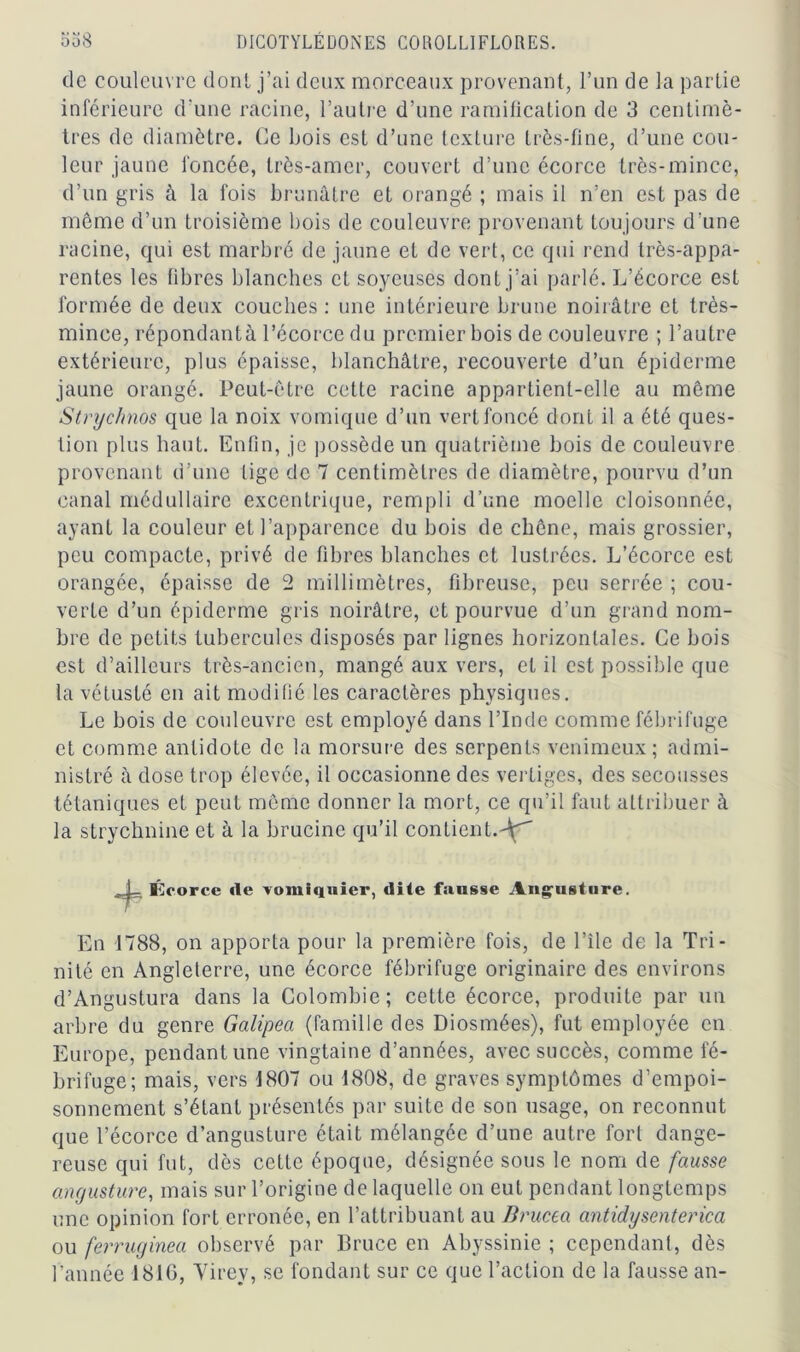 de couleuvre dont j’ai deux morceaux provenant, l’un de la partie inférieure d'une racine, l’autre d’une ramification de 3 centimè- tres de diamètre. Ce bois est d’une texture très-fine, d’une cou- leur jaune foncée, très-amer, couvert d’une écorce très-mince, d’un gris à la fois brunâtre et orangé ; mais il n’en est pas de meme d’un troisième bois de couleuvre provenant toujours d’une racine, qui est marbré de jaune et de vert, ce qui rend très-appa- rentes les fibres blanches et soyeuses dont j’ai parlé. L’écorce est formée de deux couches : une intérieure brune noirâtre et très- mince, répondantà l’écorce du premier bois de couleuvre ; l’autre extérieure, plus épaisse, blanchâtre, recouverte d’un épiderme jaune orangé. Peut-être cette racine appartient-elle au même Strychnos que la noix vomique d’un vert foncé dont il a été ques- tion plus haut. Enfin, je possède un quatrième bois de couleuvre provenant d’une lige de 7 centimètres de diamètre, pourvu d’un canal médullaire excentrique, rempli d’une moelle cloisonnée, ayant la couleur et l’apparence du bois de chêne, mais grossier, peu compacte, privé de fibres blanches et lustrées. L’écorce est orangée, épaisse de 2 millimètres, fibreuse, peu serrée ; cou- verte d’un épiderme gris noirâtre, et pourvue d’un grand nom- bre de petits tubercules disposés par lignes horizontales. Ce bois est d’ailleurs très-ancien, mangé aux vers, et il est possible que la vétusté en ait modifié les caractères physiques. Le bois de couleuvre est employé dans l’Inde comme fébrifuge et comme antidote de la morsure des serpents venimeux; admi- nistré à dose trop élevée, il occasionne des vertiges, des secousses tétaniques et peut même donner la mort, ce qu’il faut attribuer à la strychnine et à la brucine qu’il contient.-^' Écorce de vomiquier, dite fausse Angusture. En 1788, on apporta pour la première fois, de l’île de la Tri- nité en Angleterre, une écorce fébrifuge originaire des environs d’Angustura dans la Colombie; cette écorce, produite par un arbre du genre Galipea (famille des Diosmées), fut employée en Europe, pendant une vingtaine d’années, avec succès, comme fé- brifuge; mais, vers 1807 ou 1808, de graves symptômes d’empoi- sonnement s’étant présentés par suite de son usage, on reconnut que l’écorce d’angusture était mélangée d’une autre fort dange- reuse qui fut, dès cette époque, désignée sous le nom de fausse angusture, mais sur l’origine de laquelle on eut pendant longtemps une opinion fort erronée, en l’attribuant au Brucea antidysenterica ou ferruginea observé par Bruce en Abyssinie ; cependant, dès l’année 1816, Yirey, se fondant sur ce que l’action de la fausse an-