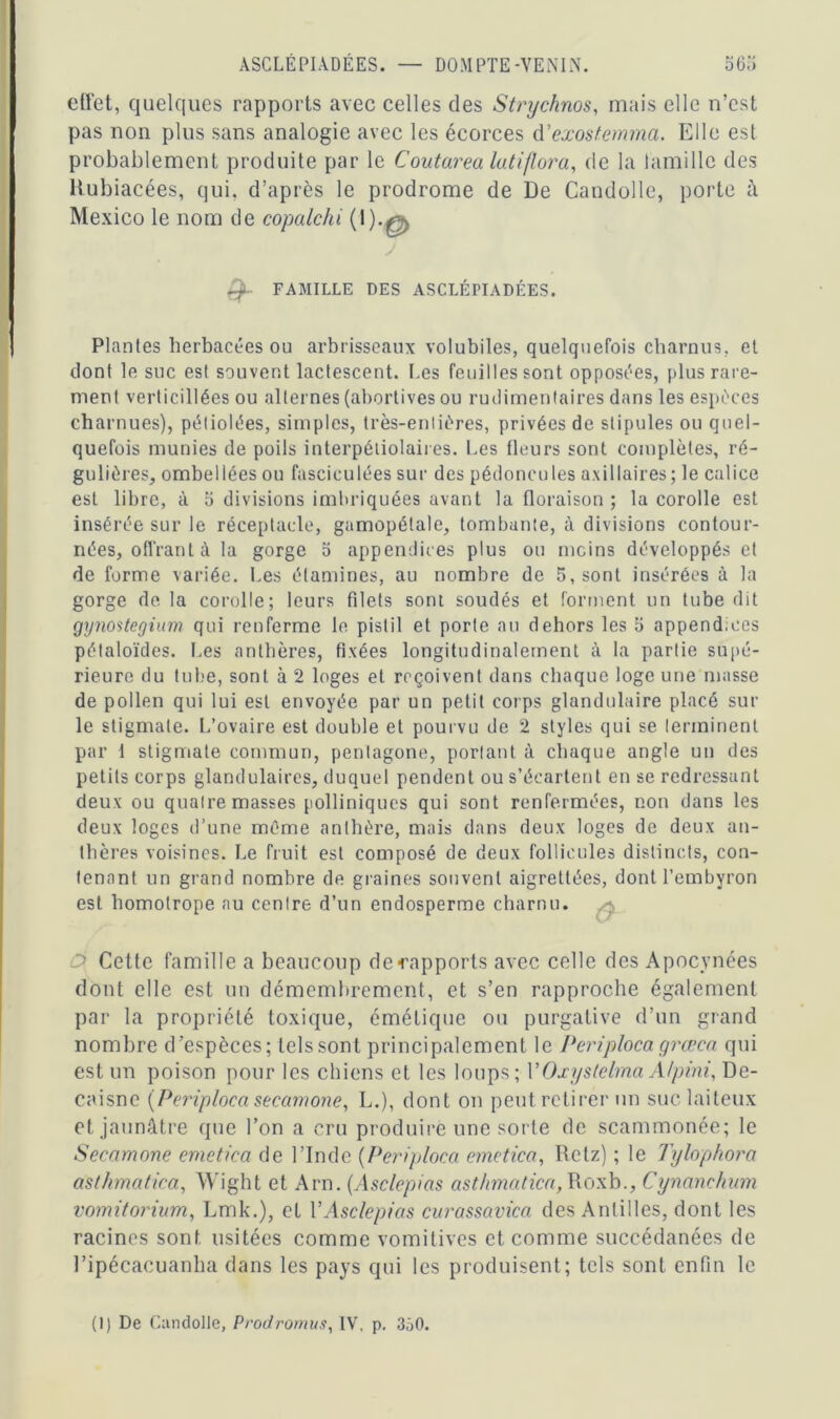 ASCLÉPIADÉES. — DOMPTE-VENIN. 56’i effet, quelques rapports avec celles des Strychnos, mais elle n’est pas non plus sans analogie avec les écorces d'exostemma. Elle est probablement produite par le Coutarea lutiflora, de la tamille des Rubiacées, qui, d’après le prodrome de De Candolle, porte à Mexico le nom de copalchi 0)-g> -f FAMILLE DES ASCLÉFIADÉES. Plantes herbacées ou arbrisseaux volubiles, quelquefois charnus, et dont le suc est souvent lactescent. Les feuilles sont opposées, plus rare- ment verticillées ou alternes (abortives ou rudimentaires dans les espèces charnues), péliolées, simples, très-entières, privées de stipules ou quel- quefois munies de poils interpéliolaires. Les fleurs sont complètes, ré- gulières, ombellées ou fasciculées sur des pédoncules axillaires; le calice est libre, à 5 divisions imbriquées avant la floraison ; la corolle est insérée sur le réceptacle, gamopétale, tombante, à divisions contour- nées, offrant à la gorge 5 appendices plus ou moins développés et de forme variée. Les étamines, au nombre de 5, sont insérées à la gorge de la corolle; leurs filets sont soudés et forment un tube dit gynostegium qui renferme le pistil et porte au dehors les 5 append.ces pétaloïdes. Les anthères, fixées longitudinalement à la partie supé- rieure du tube, sont à 2 loges et reçoivent dans chaque loge une masse de pollen qui lui est envoyée par un petit corps glandulaire placé sur le stigmate. L’ovaire est double et pourvu de 2 styles qui se terminent par 1 stigmate commun, pentagone, portant à chaque angle un des petits corps glandulaires, duquel pendent ou s’écartent en se redressant deux ou quatre masses polliniques qui sont renfermées, non dans les deux loges d’une même anthère, mais dans deux loges de deux an- thères voisines. Le fruit est composé de deux follicules distincts, con- tenant un grand nombre de graines souvent aigretlées, dontl’embyron est homotrope au centre d’un endosperme charnu. d Cette famille a beaucoup de ■rapports avec celle des Apocynées dont elle est un démembrement, et s’en rapproche également par la propriété toxique, émétique ou purgative d’un grand nombre d’especes; tels sont principalement le Periploca grœca qui est un poison pour les chiens et les loups; VOxyslelma A/pini, De- caisne (Periploca secamone, L.), dont on peut retirer un suc laiteux et jaunâtre que l’on a cru produire une sorte de scammonée; le Secamone emetiea de l’Inde (Periploca emetica, Retz) ; le Tylophora asthmatica, Wight et Arn. (Asclepias asthmatica,Roxb., Cynanchum vomitorium, Lmk.), et VAsclepias curassavica des Antilles, dont les racines sont usitées comme vomitives et comme succédanées de l’ipécacuanha dans les pays qui les produisent; tels sont enfin le (1) De Candolle, Prodromus, IV, p. 350.