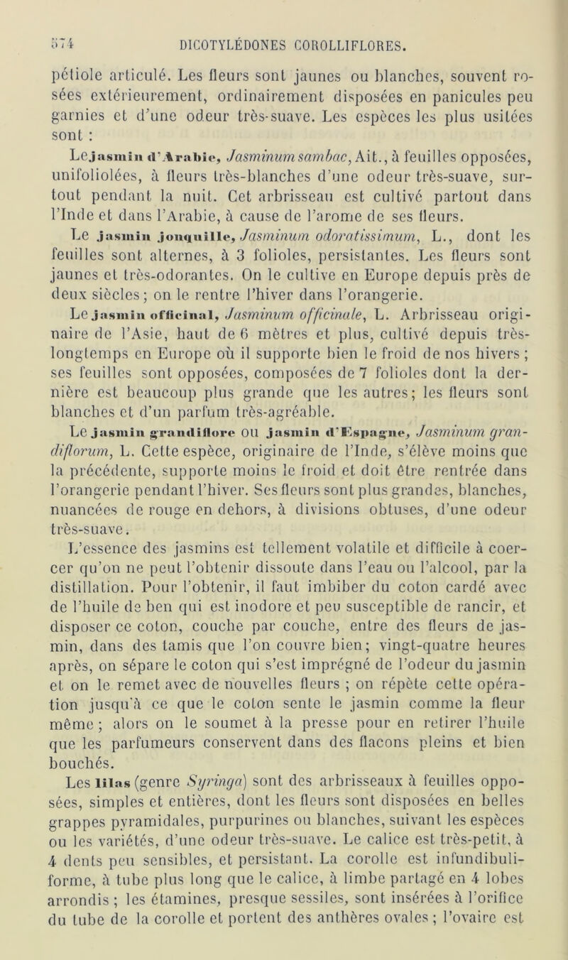 pcliole articulé. Les fleurs sont jaunes ou blanches, souvent ro- sées extérieurement, ordinairement disposées en panicules peu garnies et d’une odeur très-suave. Les espèces les plus usitées sont : Le jasmin d’Arabie, Jasminum sam bac, Ait., à feuilles opposées, unifoliolées, à fleurs très-blanches d’une odeur très-suave, sur- tout pendant la nuit. Cet arbrisseau est cultivé partout dans l’Inde et dans l’Arabie, à cause de l’arome de ses fleurs. Le jasmin jonquille, Jasminum odomtissimum, L., dont les feuilles sont alternes, à 3 folioles, persistantes. Les fleurs sont jaunes et très-odorantes. On le cultive en Europe depuis près de deux siècles; on le rentre l’hiver dans l’orangerie. Le jasmin officinal, Jasminum officinale, L. Arbrisseau origi- naire de l’Asie, haut de 6 mètres et plus, cultivé depuis très- longtemps en Europe où il supporte bien le froid de nos hivers ; ses feuilles sont opposées, composées de 7 folioles dont la der- nière est beaucoup plus grande que les autres; les fleurs sont blanches et d’un parfum très-agréable. Le jasmin grandi flore OU jasmin d'I'Isiiag-m*, Jasminum g r an - diflorum, L. Cette espèce, originaire de l’Inde, s’élève moins que la précédente, supporte moins le froid et doit être rentrée dans l’orangerie pendant l’hiver. Ses fleurs sont plus grandes, blanches, nuancées de rouge en dehors, à divisions obtuses, d’une odeur très-suave. L’essence des jasmins est tellement volatile et difficile à coer- cer qu’on ne peut l’obtenir dissoute dans l’eau ou l’alcool, par la distillation. Pour l’obtenir, il faut imbiber du coton cardé avec de l’huile de ben qui est inodore et peu susceptible de rancir, et disposer ce coton, couche par couche, entre des fleurs de jas- min, dans des tamis que l’on couvre bien; vingt-quatre heures après, on sépare le coton qui s’est imprégné de l’odeur du jasmin et on le remet avec de nouvelles fleurs ; on répète cette opéra- tion jusqu'à ce que le coton sente le jasmin comme la fleur même; alors on le soumet à la presse pour en retirer l’huile que les parfumeurs conservent dans des flacons pleins et bien bouchés. Les lilas (genre Syringa) sont des arbrisseaux à feuilles oppo- sées, simples et entières, dont les fleurs sont disposées en belles grappes pyramidales, purpurines ou blanches, suivant les espèces ou les variétés, d’une odeur très-suave. Le calice est très-petit, à A dents peu sensibles, et persistant. La corolle est infundibuli- forme, à tube plus long que le calice, à limbe partagé en A lobes arrondis ; les étamines, presque sessiles, sont insérées à l’orifice du tube de la corolle et portent des anthères ovales ; l’ovaire est