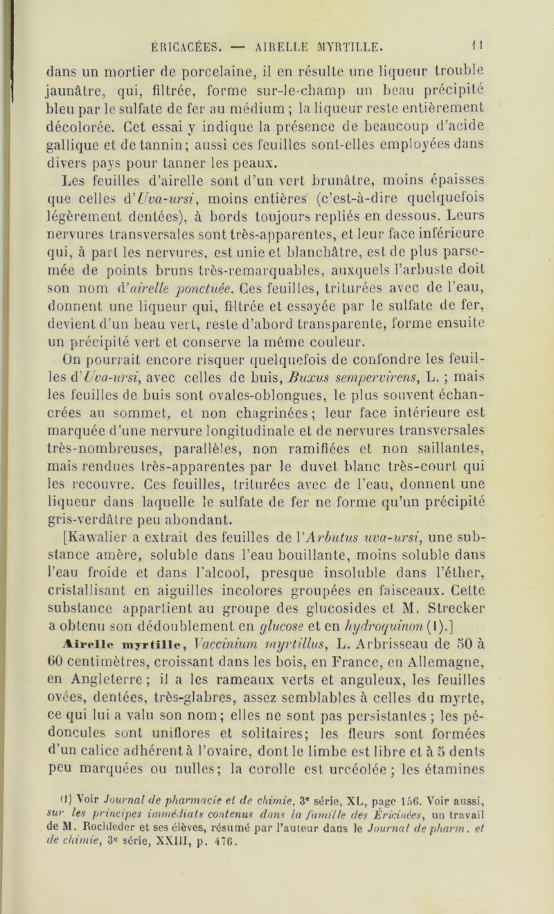 dans un mortier de porcelaine, il en résulte une liqueur trouble jaunâtre, qui, fdtrée, forme sur-le-champ un beau précipité bleu par le sulfate de fer au médium ; la liqueur reste entièrement décolorée. Cet essai y indique la présence de beaucoup d’acide gallique et de tannin; aussi ces feuilles sont-elles employées dans divers pays pour tanner les peaux. Les feuilles d’airelle sont d’un vert brunâtre, moins épaisses que celles d’Uva-ursi, moins entières (c’est-à-dire quelquefois légèrement dentées), à bords toujours repliés en dessous. Leurs nervures transversales sont très-apparentes, et leur face inférieure qui, à part les nervures, est unie et blanchâtre, est de plus parse- mée de points bruns très-remarquables, auxquels l’arbuste doit son nom d’airelle ponctuée. Ces feuilles, triturées avec de l’eau, donnent une liqueur qui, filtrée et essayée par le sulfate de fer, devient d’un beau vert, reste d’abord transparente, forme ensuite un précipité vert et conserve la même couleur. On pourrait encore risquer quelquefois de confondre les feuil- les d’Uva-ursi, avec celles de buis, Buxus sempervirens, L. ; mais les feuilles de buis sont ovalcs-oblongues, le plus souvent échan- crées au sommet, et non chagrinées; leur face intérieure est marquée d’une nervure longitudinale et de nervures transversales très-nombreuses, parallèles, non ramifiées et non saillantes, mais rendues très-apparentes par le duvet blanc très-court qui les recouvre. Ces feuilles, triturées avec de l’eau, donnent une liqueur dans laquelle le sulfate de fer ne forme qu’un précipité gris-verdâtre peu abondant. [Kawalier a extrait des feuilles de YArbutus uva-ursi, une sub- stance amère, soluble dans l’eau bouillante, moins soluble dans l’eau froide et dans l’alcool, presque insoluble dans l’éther, cristallisant en aiguilles incolores groupées en faisceaux. Celte substance appartient au groupe des glucosides et M. Strecker a obtenu son dédoublement en (jlucose et en hydroquinon (I).] Airelle myrtille, Vaccinium rnyrtillus, L. Arbrisseau de 50 à 00 centimètres, croissant dans les bois, en France, en Allemagne, en Angleterre; il a les rameaux verts et anguleux, les feuilles ovées, dentées, très-glabres, assez semblables à celles du myrte, ce qui lui a valu son nom; elles ne sont pas persistantes ; les pé- doncules sont uniflores et solitaires; les fleurs sont formées d’un calice adhérent à l’ovaire, dont le limbe est libre et à 5 dents peu marquées ou milles; la corolle est urcéolée ; les étamines U) Voir Journal de pharmacie et de chimie, 3e série, XL, page 15G. Voir aussi, sw les principes immédiats contenus dans lu famille des Êricinées, un travail de M. Rochleder et ses élèves, résumé par l’auteur dans le Journal de pharm. et de chimie, 3e série, XXIII, p. 47G.