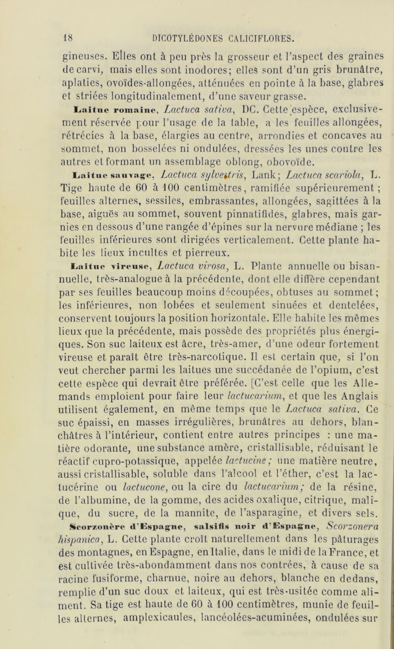 gineuses. Elles ont à peu près la grosseur et l’aspect des graines decarvi, mais elles sont inodores; elles sont d’un gris brunâtre, aplaties, ovoïdes-allongées, atténuées en pointe à la base, glabres et striées longitudinalement, d’une saveur grasse. Laitue romaine, Lactuca satwa, DC. Cette espèce, exclusive- ment réservée pour l’usage de la table, a les feuilles allongées, rétrécies à la base, élargies au centre, arrondies et concaves au sommet, non bosselées ni ondulées, dressées les unes contre les autres et formant un assemblage oblong, obovoïde. Laitue saurage, Lactuca sylvetfris, Lank ; Lcictuca scariola, L. Tige haute de 60 à 100 centimètres, ramifiée supérieurement ; feuilles alternes, sessiles, embrassantes, allongées, sagittées à la base, aiguës au sommet, souvent pinnatifides, glabres, mais gar- nies en dessous d’une rangée d’épines sur la nervure médiane ; les feuilles inférieures sont dirigées verticalement. Cette plante ha- bite les lieux incultes et pierreux. Laitue cireuse, Lactuca virosa, L. Plante annuelle ou bisan- nuelle, très-analogue à la précédente, dont elle diffère cependant par ses feuilles beaucoup moins découpées, obtuses au sommet; les inférieures, non lobées et seulement sinuées et dentelées, conservent toujours la position horizontale. Elle habite les mêmes lieux que la précédente, mais possède des propriétés plus énergi- ques. Son suc laiteux est âcre, très-amer, d’une odeur fortement vireuse et paraît être très-narcotique. Il est certain que, si l’on veut chercher parmi les laitues une succédanée de l’opium, c’est cette espèce qui devrait être préférée. [C’est celle que les Alle- mands emploient pour faire leur lactucarium, et que les Anglais utilisent également, en même temps que le Lactuca saliva. Ce suc épaissi, en masses irrégulières, brunâtres au dehors, blan- châtres à l’intérieur, contient entre autres principes : une ma- tière odorante, une substance amère, cristallisable, réduisant le réactif cupro-potassique, appelée lactucine; une matière neutre, aussi cristallisable, soluble dans l’alcool et l’éther, c’est la lac- tucérine ou lactucone, ou la cire du lactucarium ; de la résine, de l’albumine, de la gomme, des acides oxalique, citrique, mali- que, du sucre, de la mannite, de l’asparagine, et divers sels. Scorsonère tl/Espagnc, salsifis noir «l'Espagne, Scorzonera hispanica, L. Cette plante croît naturellement dans les pâturages des montagnes, en Espagne, en Italie, dans le midi de la France, et est cultivée très-abondamment dans nos contrées, à cause de sa racine fusiforme, charnue, noire au dehors, blanche en dedans, remplie d’un suc doux et laiteux, qui est très-usitée comme ali- ment. Sa tige est haute de 60 à 100 centimètres, munie de feuil- les alternes, amplexicaules, lancéolées-acuminées, ondulées sur