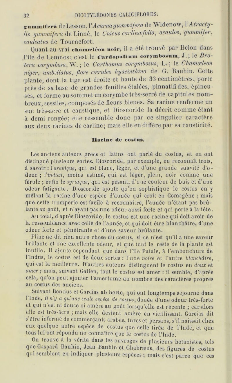 {•ummifern deLfisson, l’Acarnagummifera de Widenow, 1 Atracty- lis gummifera de Linné, le Cnicus carhnœfolio, acaulos, gummifer, cauleatus de Tournefort. Quant au vrai chamæiéon noir, il a été trouvé par Belon dans l’île de Lemnos; c’est le Cardopatium corymbosum, J.; le Bro- tera corymbosa,W. ; le Carthamus corymbosus, L.; le Chamœleon niger, umbellatus, flore cceruleo hyacinthino de G. Bauliin. Cette plante, dont la tige est droite et haute de 33 centimètres, porte près de sa base de grandes feuilles étalées, pinnatifides, épineu- ses, et forme au sommet un corymbe très-serré de capitules nom- breux, sessiles, composés de fleurs bleues. Sa racine renferme un suc très-acre et caustique, et Dioscoride la décrit comme étant à demi rongée; elle ressemble donc par ce singulier caractère aux deux racines de carline; mais elle en diffère par sa causticité. Racine de costus. Les anciens auteurs grecs et latins ont parlé du costus, et en ont distingué plusieurs sortes. Dioscoride, par exemple, en reconnaît trois, à savoir : Yarabique, qui est blanc, léger, et d’une grande suavité d’o- deur ; l'indien, moins estimé, qui est léger, plein, noir comme une férule ; enfin le syriaque, qui est pesant, d’une couleur de buis et d’une odeur fatigante. Dioscoride ajoute qu’on sophistique le costus en y mêlant la racine d’une espèce d’aunée qui croît en Comagène ; mais que cette tromperie est facile à reconnaître, l’aunée n’étant pas brû- lante au goût, et n’ayant pas une odeur aussi forte et qui porte à la tête. Au total, d’après Dioscoride, le costus est une racine qui doit avoir de la ressemblance avec celle de l’aunée, et qui doit être blanchâtre, d’une odeur forte et pénétrante et d’une saveur brillante. Pline ne dit rien autre chose du costus, si ce n’est qu’il a une saveur brûlante et une excellente odeur, et que tout le reste de la plante est inutile. 11 ajoute cependant que dans i’île Patale, à l’embouchure de 1 Indus, le costus est de deux sortes : l’une noire et l’autre blanchâtre, qui est la meilleure. D’autres auteurs distinguent le costus en doux et amer ; mais, suivant Galien, tout le costus est amer : il semble, d’après cela, qu on peut ajouter l’amertume au nombre des caractères propres au costus des anciens. Suivant Bontius et Garcias ab liorlo, qui ont longtemps séjourné dans l Inde, il n y a qu une seule espèce de costus, douée d’une odeur très-forte et qui n est ni douce ni amère au goût lorsqu’elle est récente ; car alors elle e^t très-acre ; mais elle devient amère en vieillissant. Garcias dit s êtie informé de commerçants arabes, turcs et persans, s’il naissait chez eux quelque autre espèce de costus que celle tirée de l'Inde, et que tous lui ont répondu ne connaître que le costus de l’Inde. On trouve a la vérité dans les ouvrages de plusieurs botanistes, tels que Gaspard Bauliin, Jean Bauliin et Chabræus, des figures de costus qui semblent en indiquei plusieurs espèces ; mais c’est parce que ces