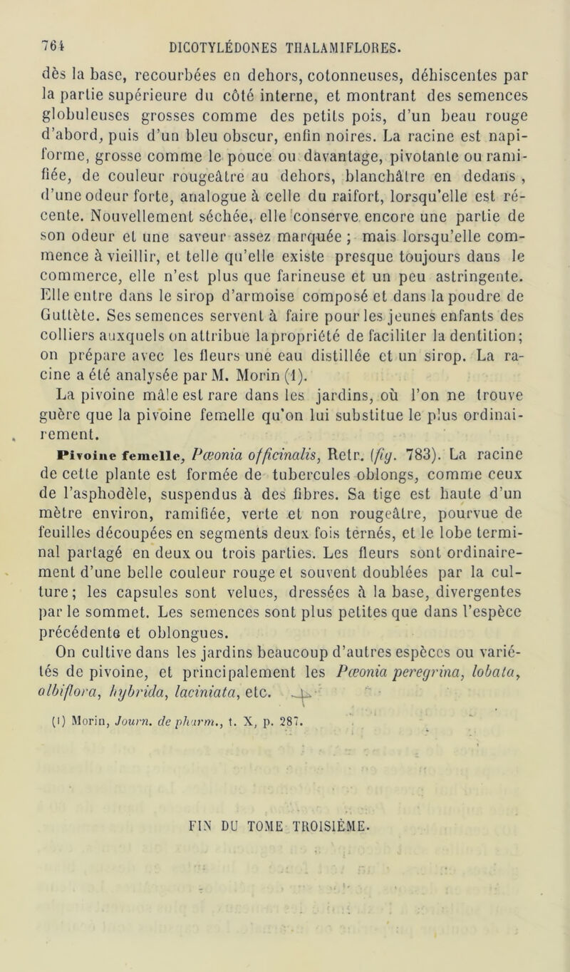 dès la base, recourbées en dehors, cotonneuses, déhiscentes par la partie supérieure du côté interne, et montrant des semences globuleuses grosses comme des petits pois, d’un beau rouge d’abord, puis d’un bleu obscur, enfin noires. La racine est napi- l'orme, grosse comme le pouce ou davantage, pivotante ou rami- fiée, de couleur rougeâtre au dehors, blanchâtre en dedans , d’une odeur forte, analogue à celle du raifort, lorsqu’elle est ré- cente. Nouvellement séchée, elle conserve encore une partie de son odeur et une saveur assez marquée ; mais lorsqu’elle com- mence à vieillir, et telle qu’elle existe presque toujours dans le commerce, elle n’est plus que farineuse et un peu astringente. Elle entre dans le sirop d’armoise composé et dans la poudre de Guttète. Ses semences servent à faire pour les jeunes enfants des colliers auxquels on attribue lapropriôté de faciliter la dentition; on prépare avec les fleurs une eau distillée et un sirop. La ra- cine a été analysée par M. Morin (1). La pivoine mâle est rare dans les jardins, où l’on ne trouve guère que la pivoine femelle qu’on lui substitue le plus ordinai- rement. Pivoine femelle, Pœonia officinalis, Retr. (fig. 783). La racine de cette plante est formée de tubercules oblongs, comme ceux de l’asphodèle, suspendus à des fibres. Sa tige est haute d’un mètre environ, ramifiée, verte et non rougeâtre, pourvue de feuilles découpées en segments deux fois ternés, et le lobe termi- nal partagé en deux ou trois parties. Les fleurs sont ordinaire- ment d’une belle couleur rouge et souvent doublées par la cul- ture; les capsules sont velues, dressées â la base, divergentes par le sommet. Les semences sont plus petites que dans l’espèce précédente et oblongues. On cultive dans les jardins beaucoup d’autres espèces ou varié- tés de pivoine, et principalement les Pœonia peregrina, lobatay olbiflora, hybrida, laciniata, etc. - i... (i) Morin, Journ. de phurm., t. X, p. 287. FIN DU TOME TROISIÈME.