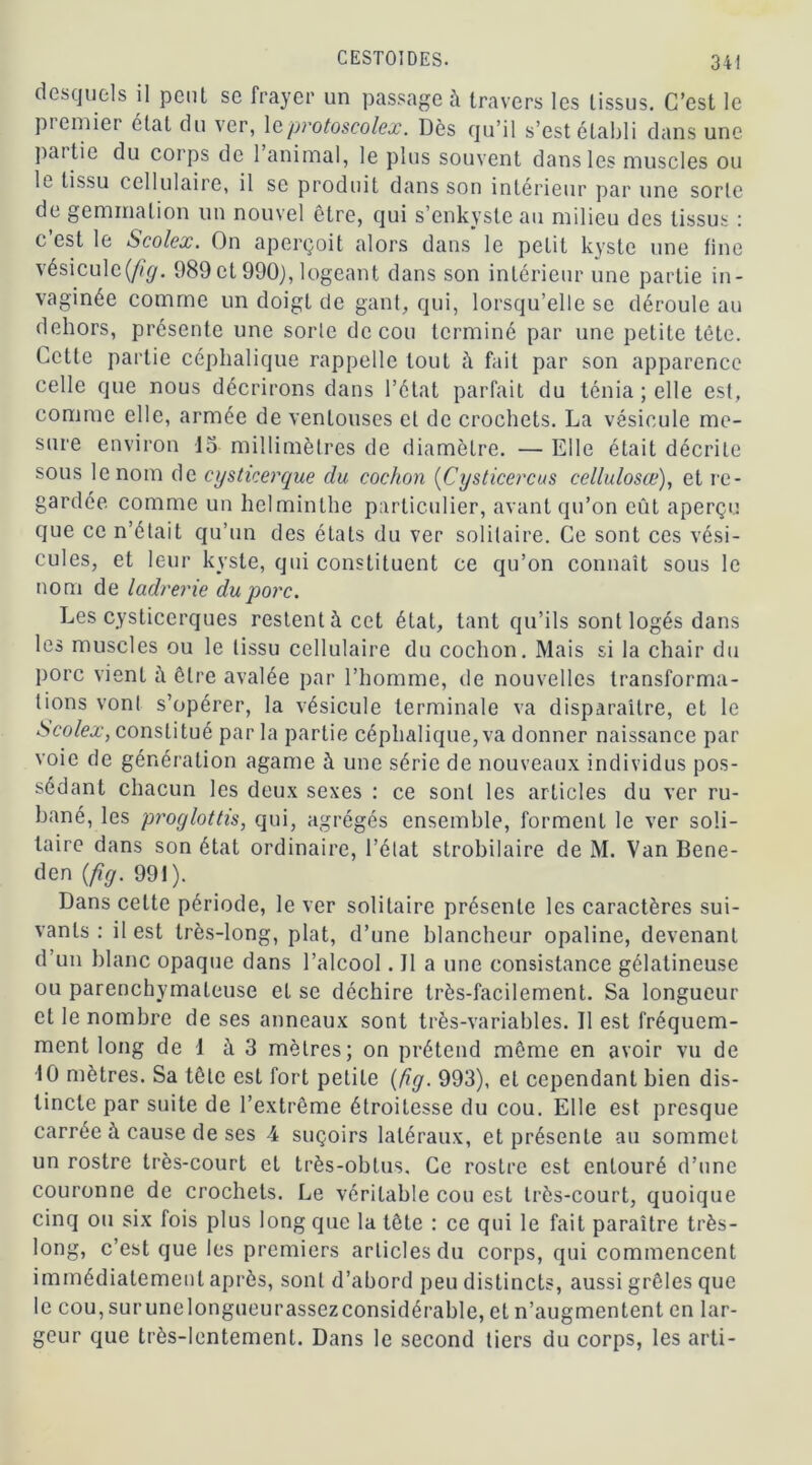 desquels il peut se frayer un passage à travers les tissus. C’est le premier état du ver, 1 cprotoscolex. Dès qu’il s’est établi dans une paitie du corps de 1 animal, le plus souvent dans les muscles ou le tissu cellulaire, il se produit dans son intérieur par une sorte de gemmation un nouvel être, qui s’enkyste au milieu des tissus : c’est le Scolex. On aperçoit alors dans le petit kyste une fine vésicule{fig. 989et 990), logeant dans son intérieur une partie in- vaginée comme un doigt de gant, qui, lorsqu’elle se déroule au dehors, présente une sorte de cou terminé par une petite tête. Cette partie céphalique rappelle tout à fait par son apparence celle que nous décrirons dans l’état parfait du ténia; elle est, comme elle, armée de ventouses et de crochets. La vésicule me- sure environ 15 millimètres de diamètre. — Elle était décrite sous le nom de cysticerque du cochon (Cysticercus cellulosœ), et re- gardée comme un helminthe particulier, avant qu’on eût aperçu que ce n’était qu’un des états du ver solitaire. Ce sont ces vési- cules, et leur kyste, qui constituent ce qu’on connaît sous le nom de ladrerie du porc. Les cysticerques restent à cet état, tant qu’ils sont logés dans les muscles ou le tissu cellulaire du cochon. Mais si la chair du porc vient il être avalée par l’homme, de nouvelles transforma- tions vont s’opérer, la vésicule terminale va disparaître, et le Scolex, constitué par la partie céphalique, va donner naissance par voie de génération agame à une série de nouveaux individus pos- sédant chacun les deux sexes : ce sont les articles du ver ru- bané, les proglottis, qui, agrégés ensemble, forment le ver soli- taire dans son état ordinaire, l’état strobilaire de M. Van Bene- den {fig. 991). Dans celte période, le ver solitaire présente les caractères sui- vants : il est très-long, plat, d’une blancheur opaline, devenant d’un blanc opaque dans l’alcool. Il a une consistance gélatineuse ou parenchymateuse et se déchire très-facilement. Sa longueur et le nombre de ses anneaux sont très-variables. Il est fréquem- ment long de 1 à 3 mètres; on prétend môme en avoir vu de 10 mètres. Sa tête est fort petite {fig. 993), et cependant bien dis- tincte par suite de l’extrême étroitesse du cou. Elle est presque carrée à cause de ses 4 suçoirs latéraux, et présente au sommet un rostre très-court et très-obtus. Ce rostre est entouré d’une couronne de crochets. Le véritable cou est très-court, quoique cinq ou six fois plus long que la tête : ce qui le fait paraître très- long, c’est que les premiers articles du corps, qui commencent immédiatement après, sont d’abord peu distincts, aussi grêles que le cou, surunelongueurassezconsidérable, et n’augmentent en lar- geur que très-lentement. Dans le second tiers du corps, les arti-