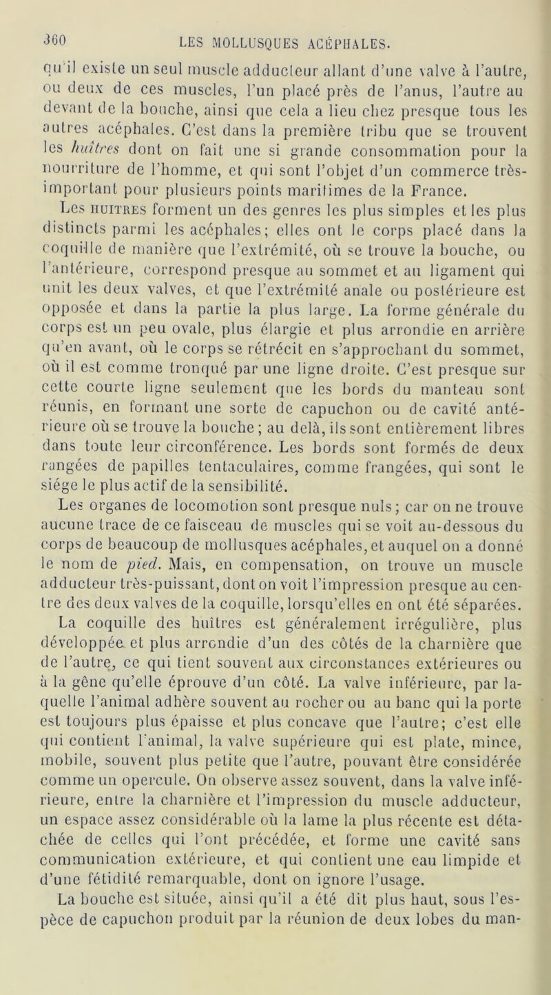 qu'il existe un seul muscle adducteur allant d’une valve à l’autre, ou deux de ces muscles, l’un placé près de l’anus, l’autre au devant de la bouche, ainsi que cela a lieu chez presque tous les autres acéphales. C’est dans la première tribu que se trouvent les huîtres dont on fait une si grande consommation pour la nourriture de l’homme, et qui sont l’objet d’un commerce très- important pour plusieurs points maritimes de la France. Les huîtres forment un des genres les plus simples et les plus distincts parmi les acéphales ; elles ont le corps placé dans la coquille de manière que l’extrémité, où se trouve la bouche, ou l’antérieure, correspond presque au sommet et au ligament qui unit les deux valves, et que l’extrémité anale ou postérieure est opposée et dans la partie la plus large. La forme générale du corps est un peu ovale, plus élargie et plus arrondie en arrière qu’en avant, où le corps se rétrécit en s’approchant du sommet, où il est comme tronqué par une ligne droite. C’est presque sur cette courte ligne seulement que les bords du manteau sont réunis, en formant une sorte de capuchon ou de cavité anté- rieure où se trouve la bouche ; au delà, ils sont entièrement libres dans toute leur circonférence. Les bords sont formés de deux rangées de papilles tentaculaires, comme frangées, qui sont le siège le plus actif de la sensibilité. Les organes de locomotion sont presque nuis; car on ne trouve aucune trace de ce faisceau de muscles qui se voit au-dessous du corps de beaucoup de mollusques acéphales, et auquel on a donné le nom de pied. Mais, en compensation, on trouve un muscle adducteur très-puissant, dont on voit l’impression presque au cen- tre des deux valves de la coquille, lorsqu’elles en ont été séparées. La coquille des huîtres est généralement irrégulière, plus développée, et plus arrondie d’un des côtés de la charnière que de l’autre, ce qui lient souvent aux circonstances extérieures ou à la gêne qu’elle éprouve d’un côté. La valve inférieure, par la- quelle l’animal adhère souvent au rocher ou au banc qui la porte est toujours plus épaisse et plus concave que l’autre; c’est elle qui contient l’animal, la valve supérieure qui est plate, mince, mobile, souvent plus petite que l’autre, pouvant être considérée comme un opercule. On observe assez souvent, dans la valve infé- rieure, entre la charnière et l’impression du muscle adducteur, un espace assez considérable où la lame la plus récente est déta- chée de celles qui l’ont précédée, et forme une cavité sans communication extérieure, et qui contient une eau limpide et d’une fétidité remarquable, dont on ignore l’usage. La bouche est située, ainsi qu’il a été dit plus haut, sous l’es- pèce de capuchon produit par la réunion de deux lobes du man-