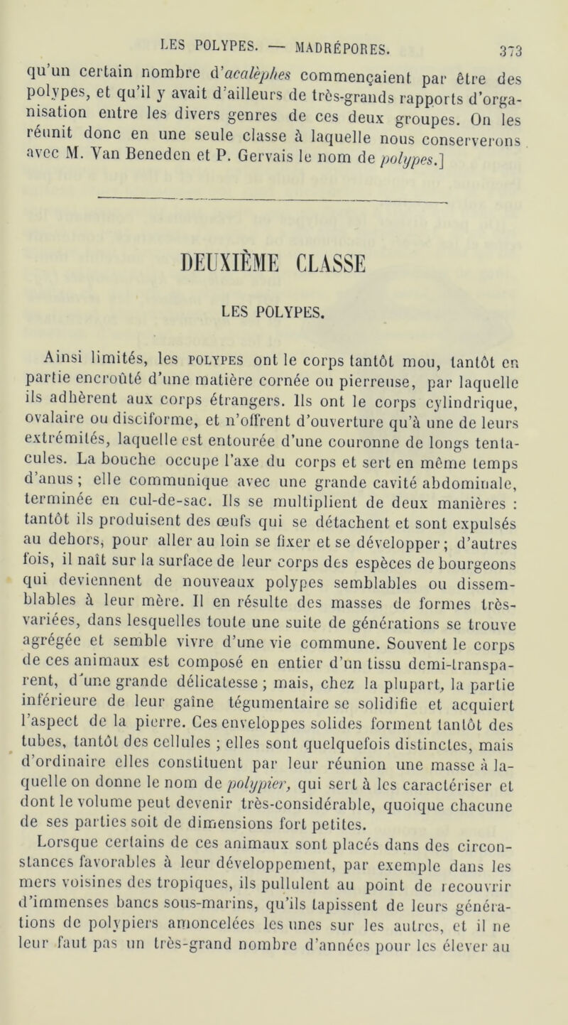 qu’un certain nombre d'acalèphes commençaient par être des polypes, et qu’il y avait d’ailleurs de très-grands rapports d’orga- nisation entre les divers genres de ces deux groupes. On les réunit donc en une seule classe à laquelle nous conserverons avec M. Yan Beneden et P. Gervais le nom de polypes.] DEUXIÈME CLASSE LES POLYPES. Ainsi limités, les polypes ont le corps tantôt mou, tantôt en partie encroûté d’une matière cornée ou pierreuse, par laquelle ils adhèrent aux corps étrangers. Ils ont le corps cylindrique, ovalaire ou disciforme, et n’offrent d’ouverture qu’à une de leurs extrémités, laquelle est entourée d’une couronne de longs tenta- cules. La bouche occupe l’axe du corps et sert en même temps d’anus; elle communique avec une grande cavité abdominale, terminée en cul-de-sac. Ils se multiplient de deux manières : tantôt ils produisent des œufs qui se détachent et sont expulsés au dehors, pour aller au loin se fixer et se développer; d’autres lois, il naît sur la surface de leur corps des espèces de bourgeons qui deviennent de nouveaux polypes semblables ou dissem- blables à leur mère. Il en résulte des masses de formes très- variées, dans lesquelles toute une suite de générations se trouve agrégée et semble vivre d’une vie commune. Souvent le corps de ces animaux est composé en entier d’un tissu demi-transpa- rent, d’une grande délicatesse; mais, chez la plupart, la partie inférieure de leur gaine tégumenlaire se solidifie et acquiert l’aspect de la pierre. Ces enveloppes solides forment tantôt des tubes, tantôt des cellules ; elles sont quelquefois distinctes, mais d ordinaire elles constituent par leur réunion une masse à la- quelle on donne le nom de polypier, qui sert à les caractériser et dont le volume peut devenir très-considérable, quoique chacune de ses parties soit de dimensions fort petites. Lorsque certains de ces animaux sont placés dans des circon- stances favorables à leur développement, par exemple dans les mers voisines des tropiques, ils pullulent au point de recouvrir d’immenses bancs sous-marins, qu’ils tapissent de leurs généra- tions de polypiers amoncelées les unes sur les autres, et il ne leur faut pas un très-grand nombre d’années pour les élever au