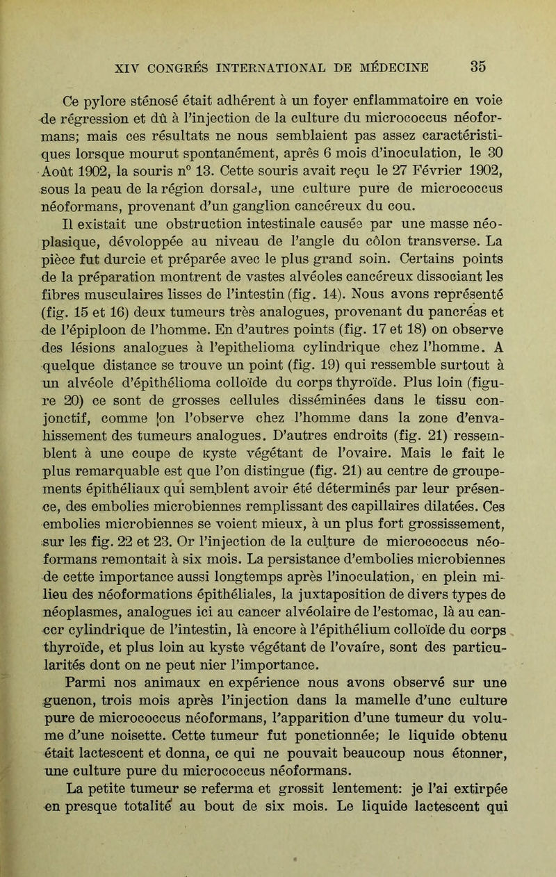 Ce pylore stenose etait adherent a un foyer enflammatoire en voie de regression et du a I’injection de la culture du micrococcus neofor- mans; mais ces resultats ne nous semblaient pas assez caracteristi- ques lorsque mourut spontanement, apres 6 mois d’inoculation, le 30 Aoht 1902, la souris n° 13. Cette souris avait regu le 27 Fevrier 1902, sous la peau de la region dorsale, une culture pure de micrococcus neoformans, provenant d’un ganglion cancereux du cou. II existait une obstruction intestinale causes par une masse neo- plasique, devoloppee au niveau de I’angle du cdlon transverse. La piece fut durcie et preparee avec le plus grand soin. Certains points de la preparation montrent de vastes alveoles cancereux dissociant les fibres musculaires lisses de I’intestin (fig. 14). Nous avons represente (fig. 15 et 16) deux tumeurs tres analogues, provenant du pancreas et de I’epiploon de I’liomme. En d’autres points (fig. 17 et 18) on observe des lesions analogues a Tepithelioma cylindrique chez I’homme. A quelque distance se trouve un point (fig. 19) qui ressemble surtout a un alveole d’epithelioma collo'ide du corps thyro'ide. Plus loin (figu- re 20) ce sont de grosses cellules disseminees dans le tissu con- jonctif, comme {on I’observe chez I’homme dans la zone d’enva- hissement des tumeurs analogues. D’autres endroits (fig. 21) ressem- blent a une coupe de Kyste vegetant de I’ovaire. Mais le fait le plus remarquable est que Ton distingue (fig. 21) au centre de groupe- ments epitheliaux qui semblent avoir ete determines par leur presen- ce, des embolies microbiennes remplissant des capillaires dilatees. Ces embolies microbiennes se voient mieux, a un plus fort grossissement, sur les fig. 22 et 23. Or I’injection de la culture de micrococcus neo- formans remontait a six mois. La persistance d’embolies microbiennes de cette importance aussi longtemps apres I’inoculation, en plein mi- lieu des neoformations epitheliales, la juxtaposition de divers types de neoplasmes, analogues ici au cancer alveolaire de I’estomac, la au can- cer cylindrique de I’intestin, la encore a I’epithelium collo'ide du corps thyro'ide, et plus loin au kyste vegetant de I’ovaire, sont des particu- larites dont on ne pent nier I’importance. Parmi nos animaux en experience nous avons observe sur une guenon, trois mois apr^s I’injection dans la mamelle d’unc culture pure de micrococcus neoformans, Papparition d’une tumeur du volu- me d’une noisette. Cette tumeur fut ponctionnee; le liquide obtenu etait lactescent et donna, ce qui ne pouvait beaucoup nous etonner, une culture pure du micrococcus neoformans. La petite tumeur se referma et grossit lentement: je I’ai extirpee en presque totalite au bout de six mois. Le liquide lactescent qui